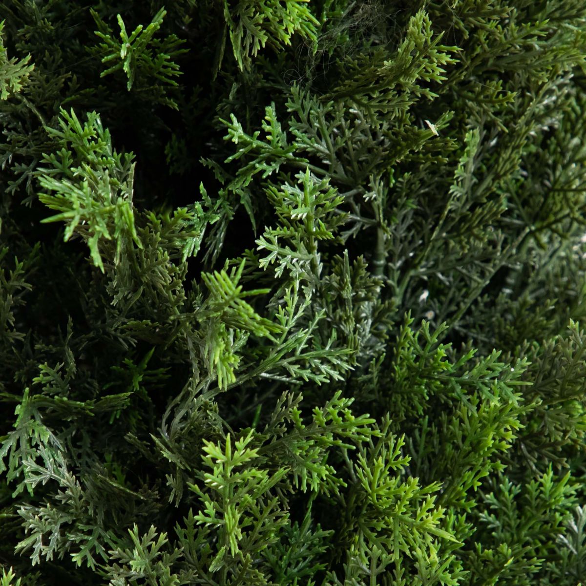 5ft. UV Resistant Artificial Cedar Tree in Decorative White Planter (Indoor/Outdoor)