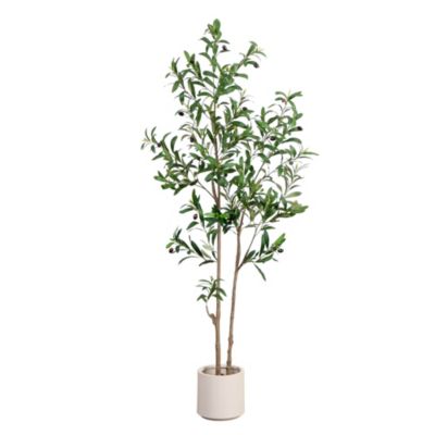Nearly Natural 5-Foot Artificial Minimalist Olive Tree in White Decorative Planter, Green
