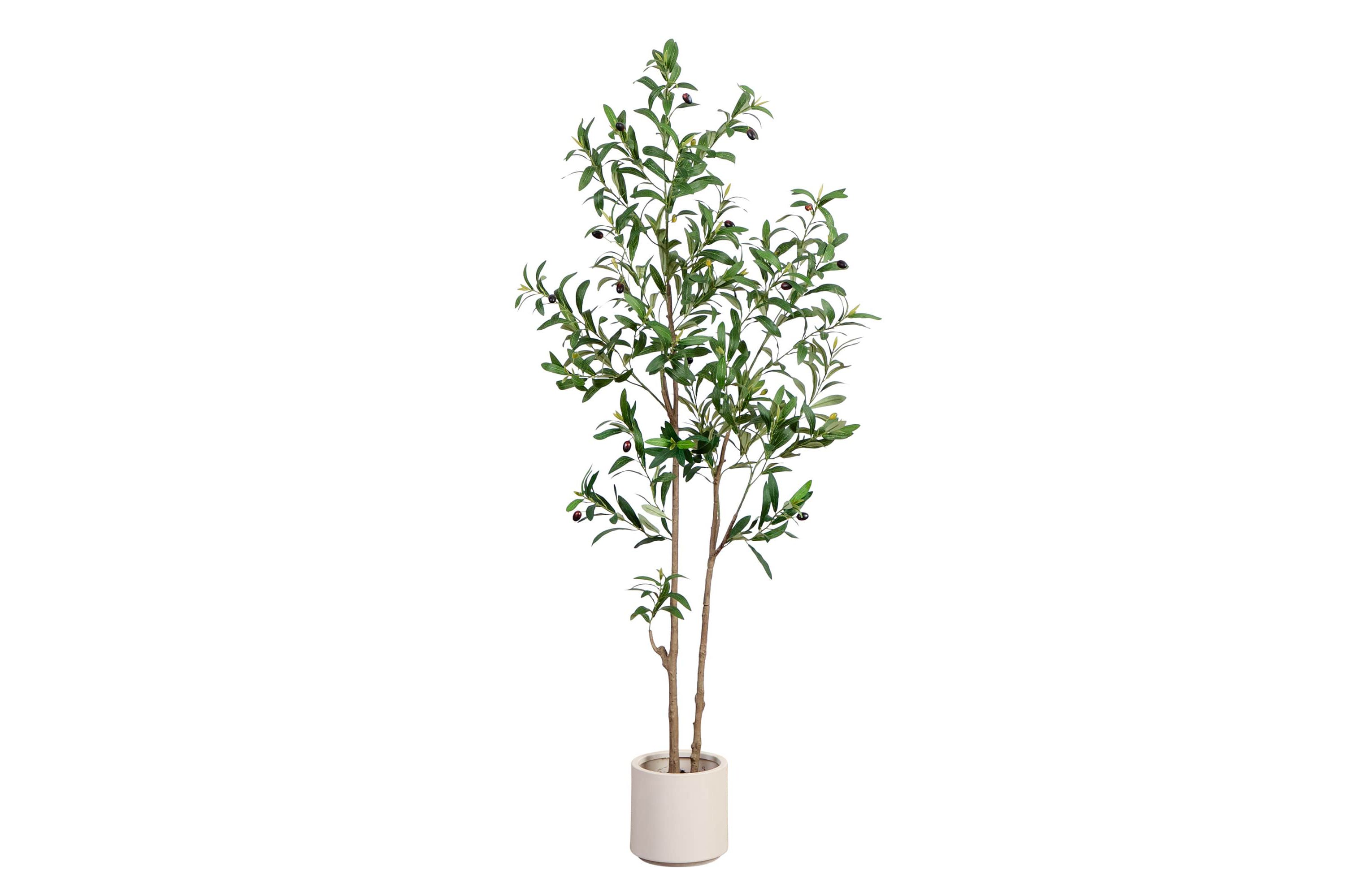 5-Foot Artificial Minimalist Olive Tree in White Decorative Planter