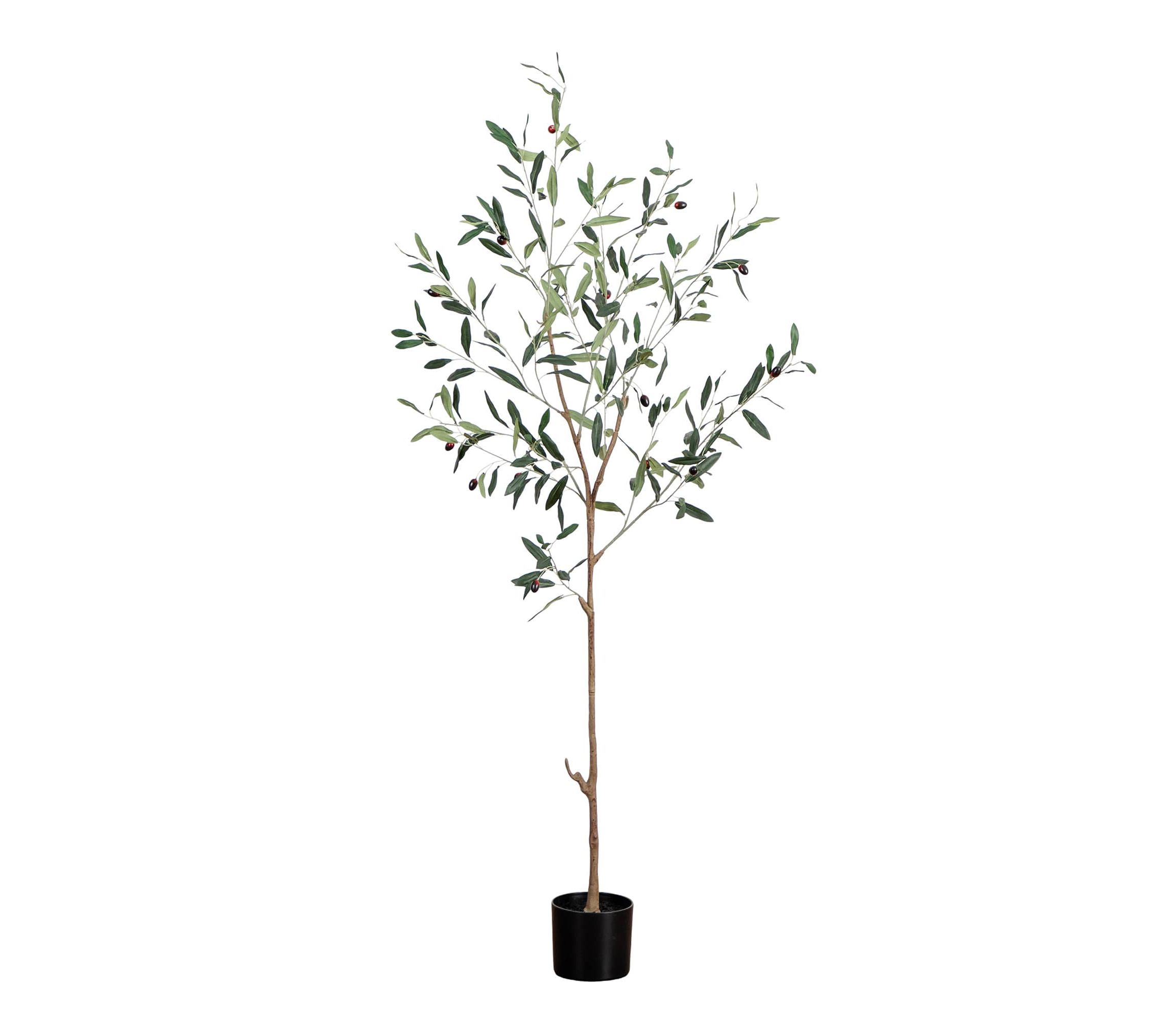 5-Foot Artificial Slim Minimalist Olive Tree