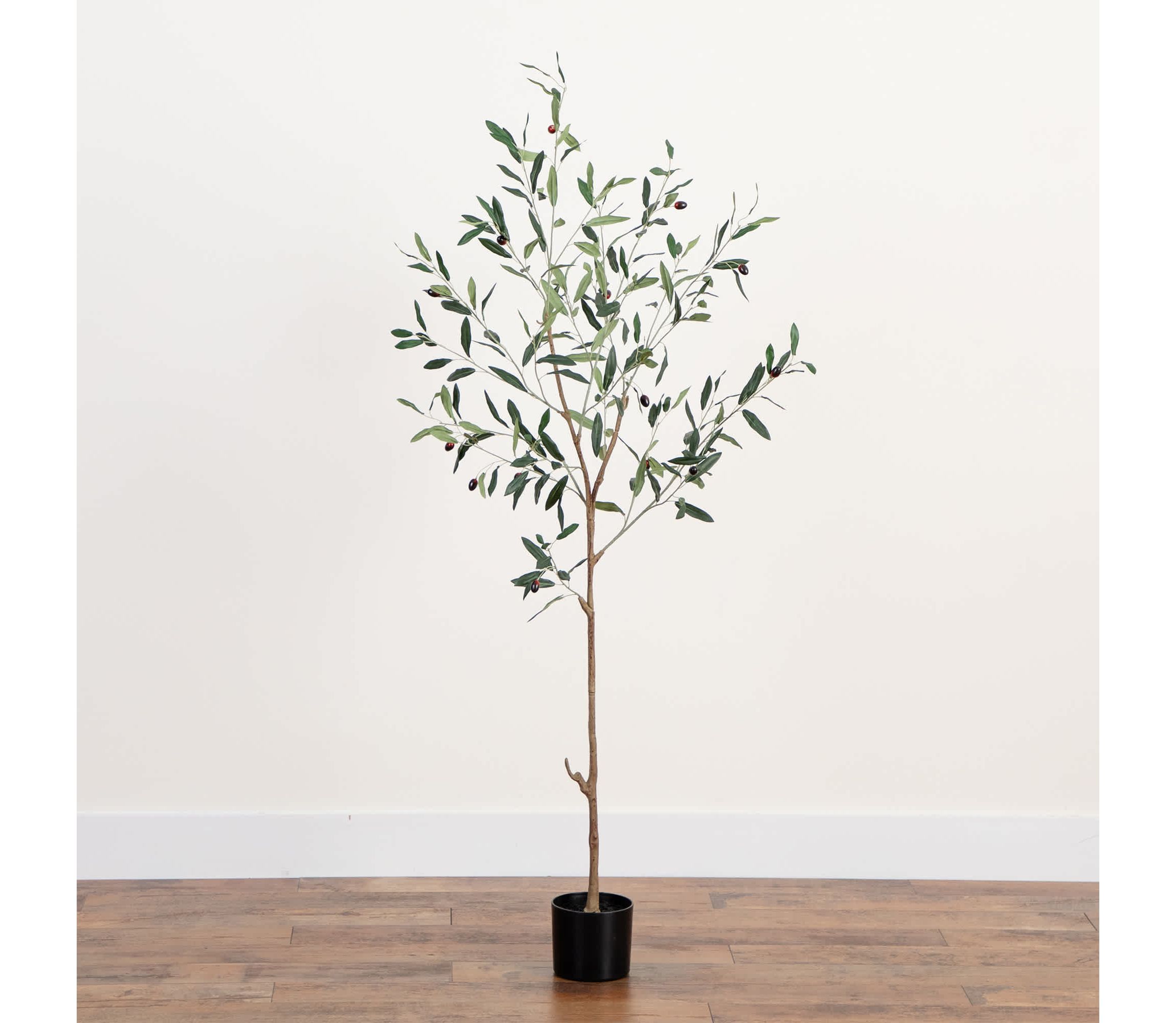 5-Foot Artificial Slim Minimalist Olive Tree