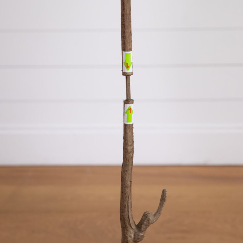 5-Foot Artificial Slim Minimalist Olive Tree