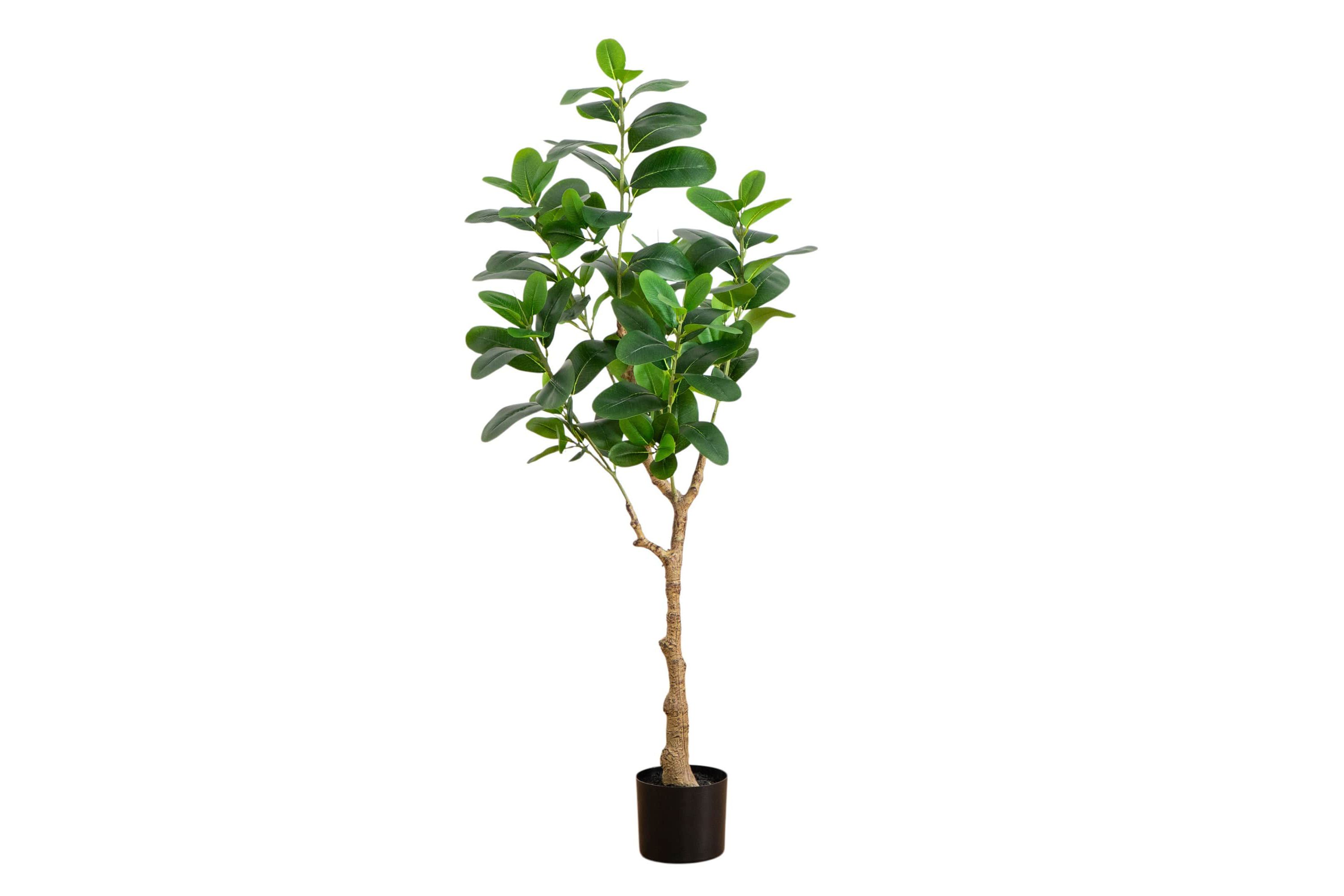 4-Foot Artificial Audrey Ficus Tree
