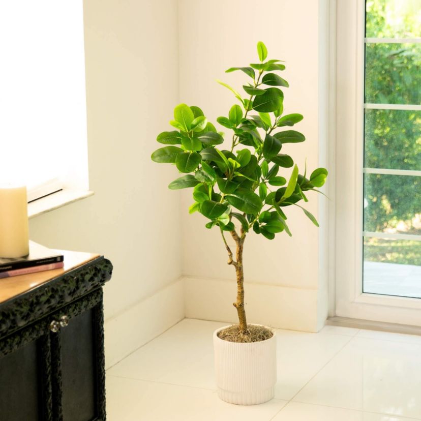 4-Foot Artificial Audrey Ficus Tree