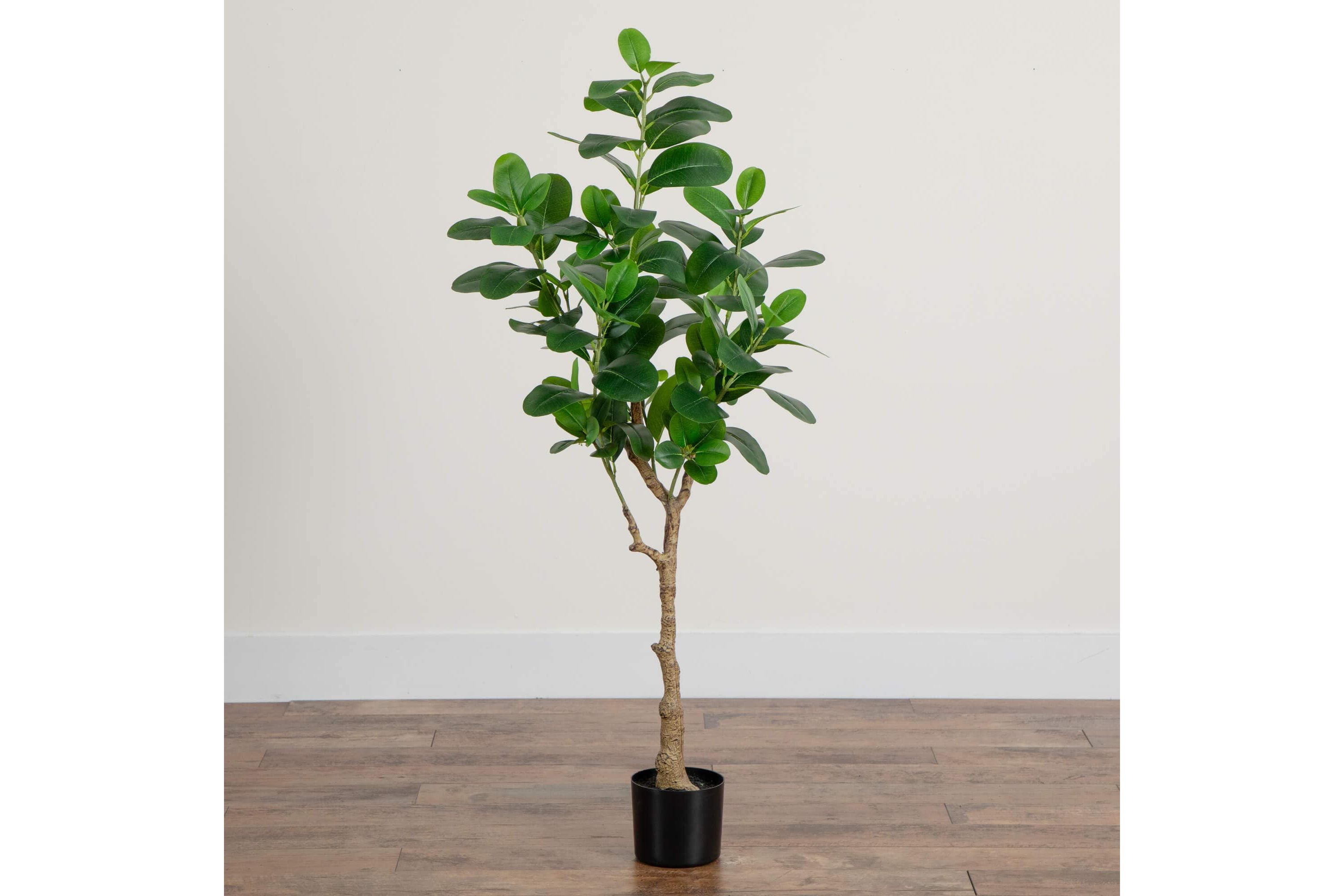 4-Foot Artificial Audrey Ficus Tree