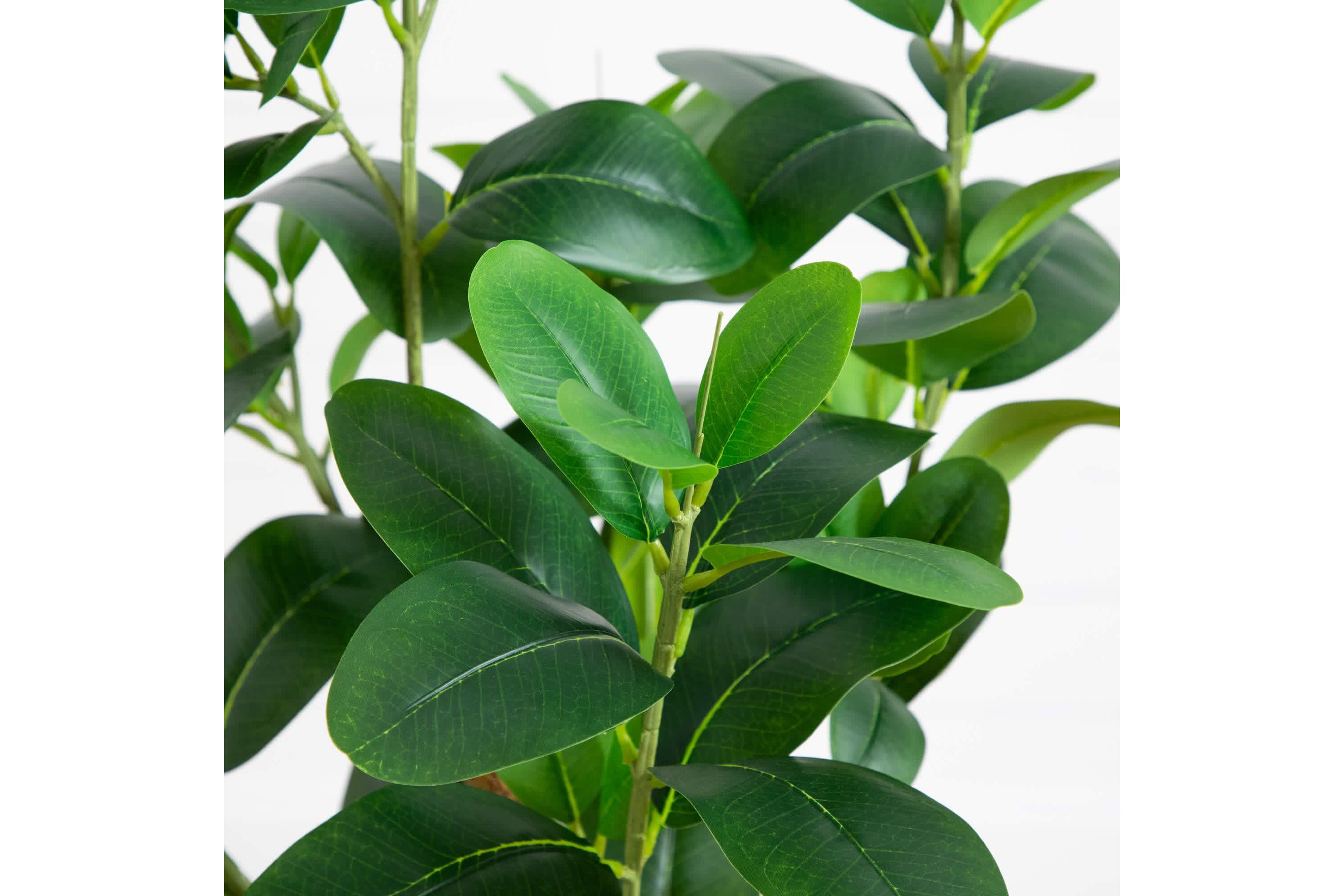 4-Foot Artificial Audrey Ficus Tree