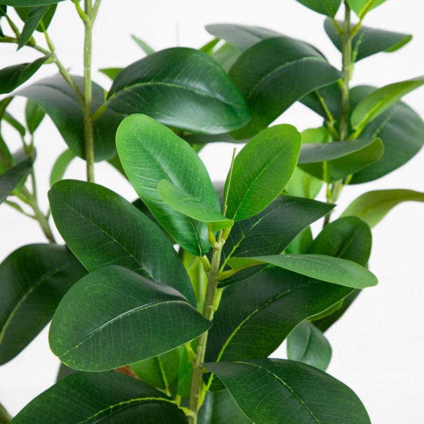 4-Foot Artificial Audrey Ficus Tree