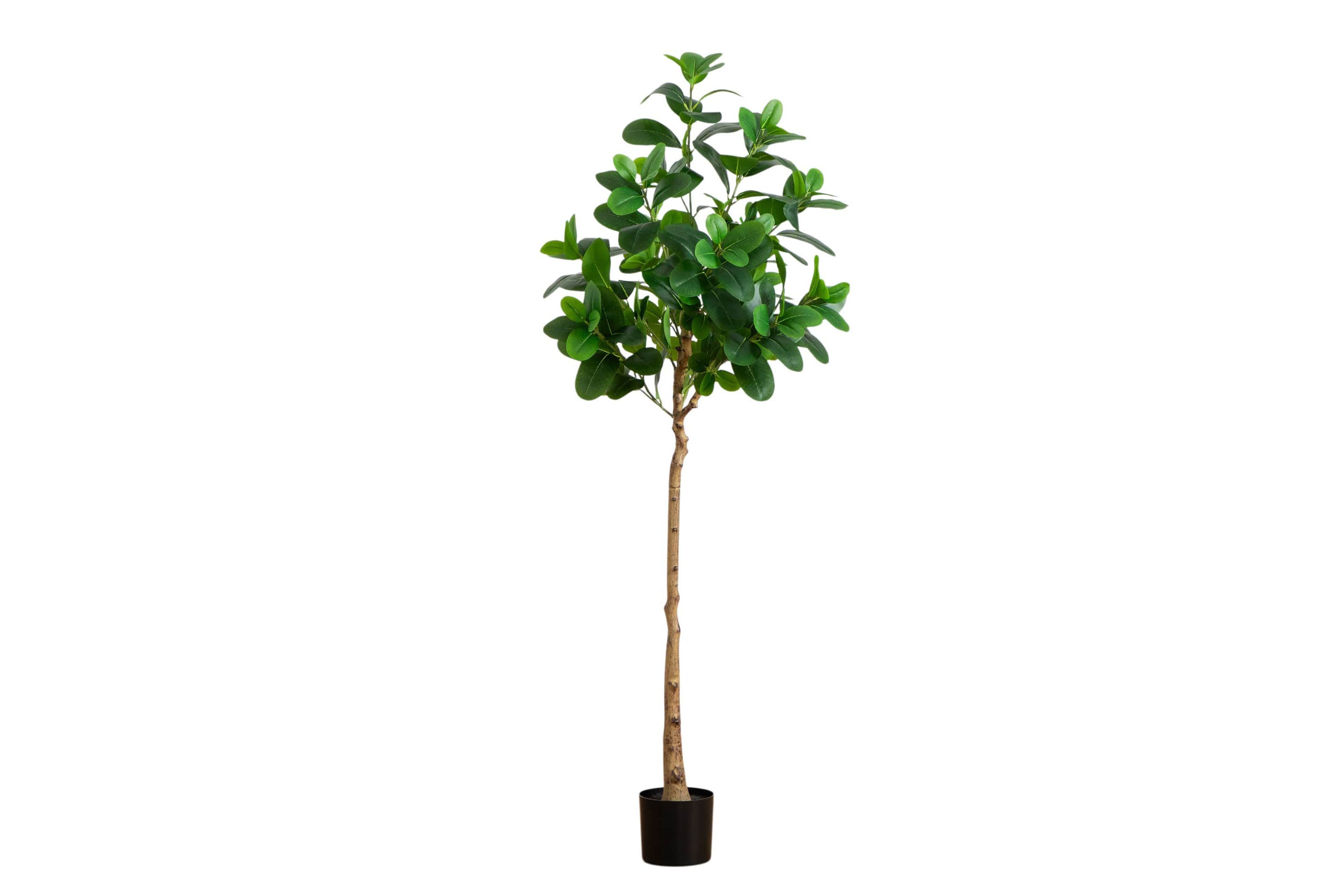 6-Foot Artificial Audrey Ficus Tree