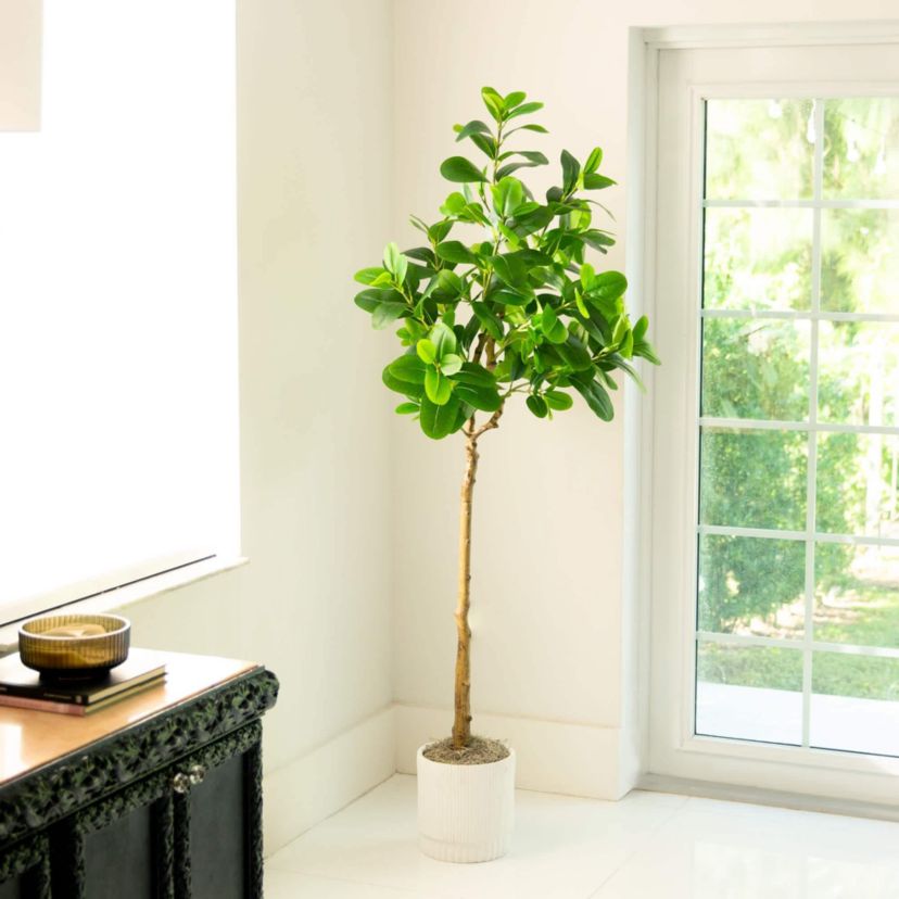 6-Foot Artificial Audrey Ficus Tree