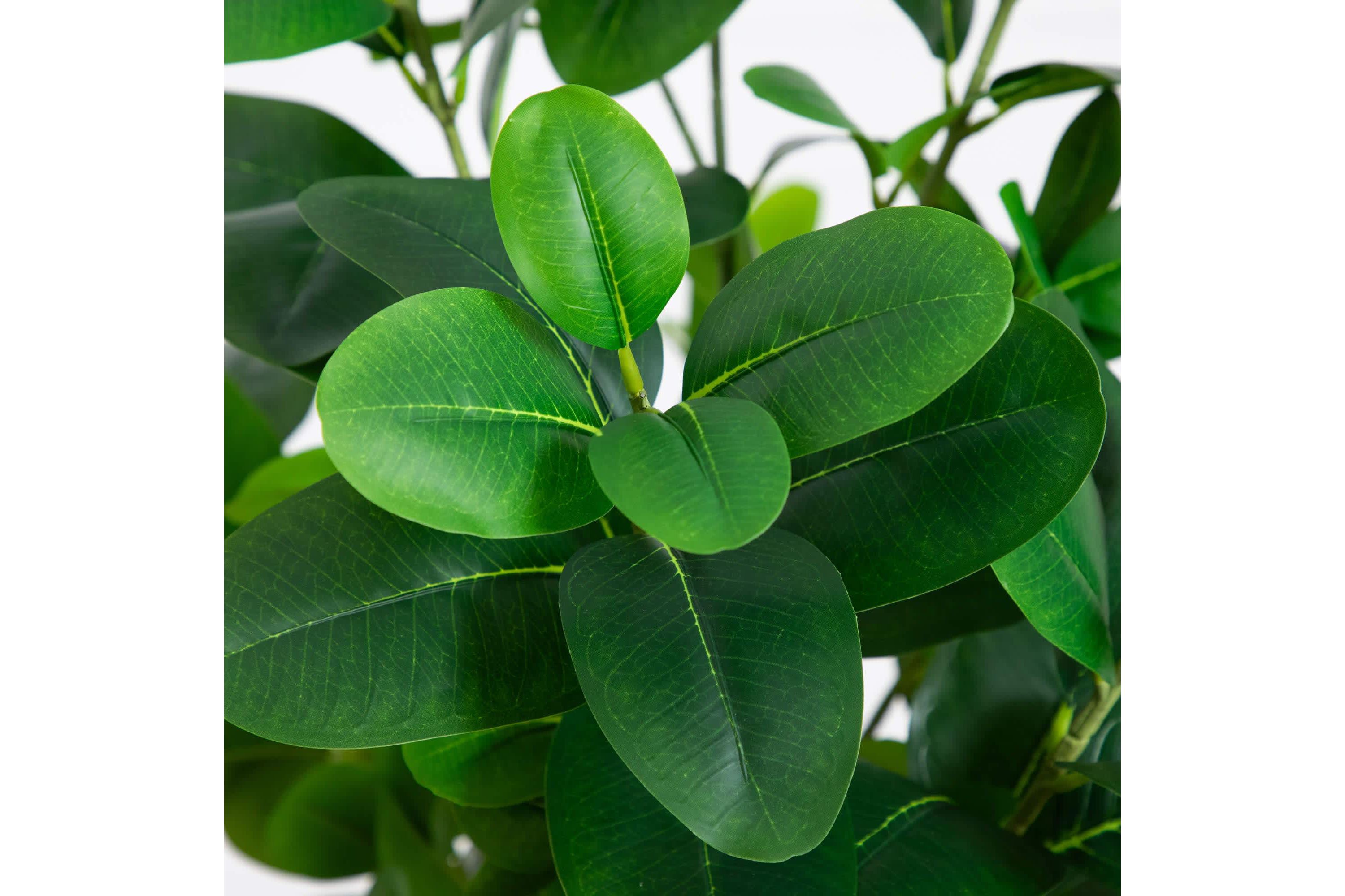 6-Foot Artificial Audrey Ficus Tree