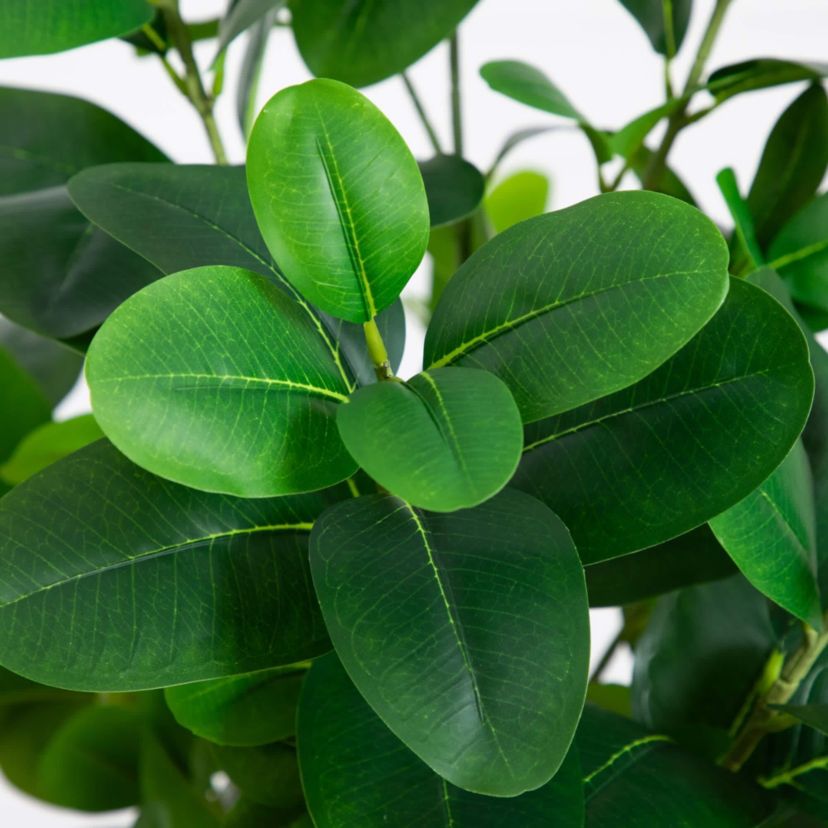 6-Foot Artificial Audrey Ficus Tree