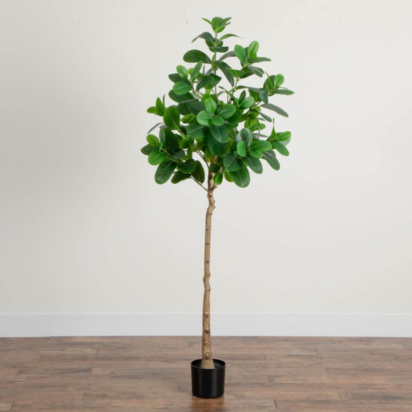 6-Foot Artificial Audrey Ficus Tree