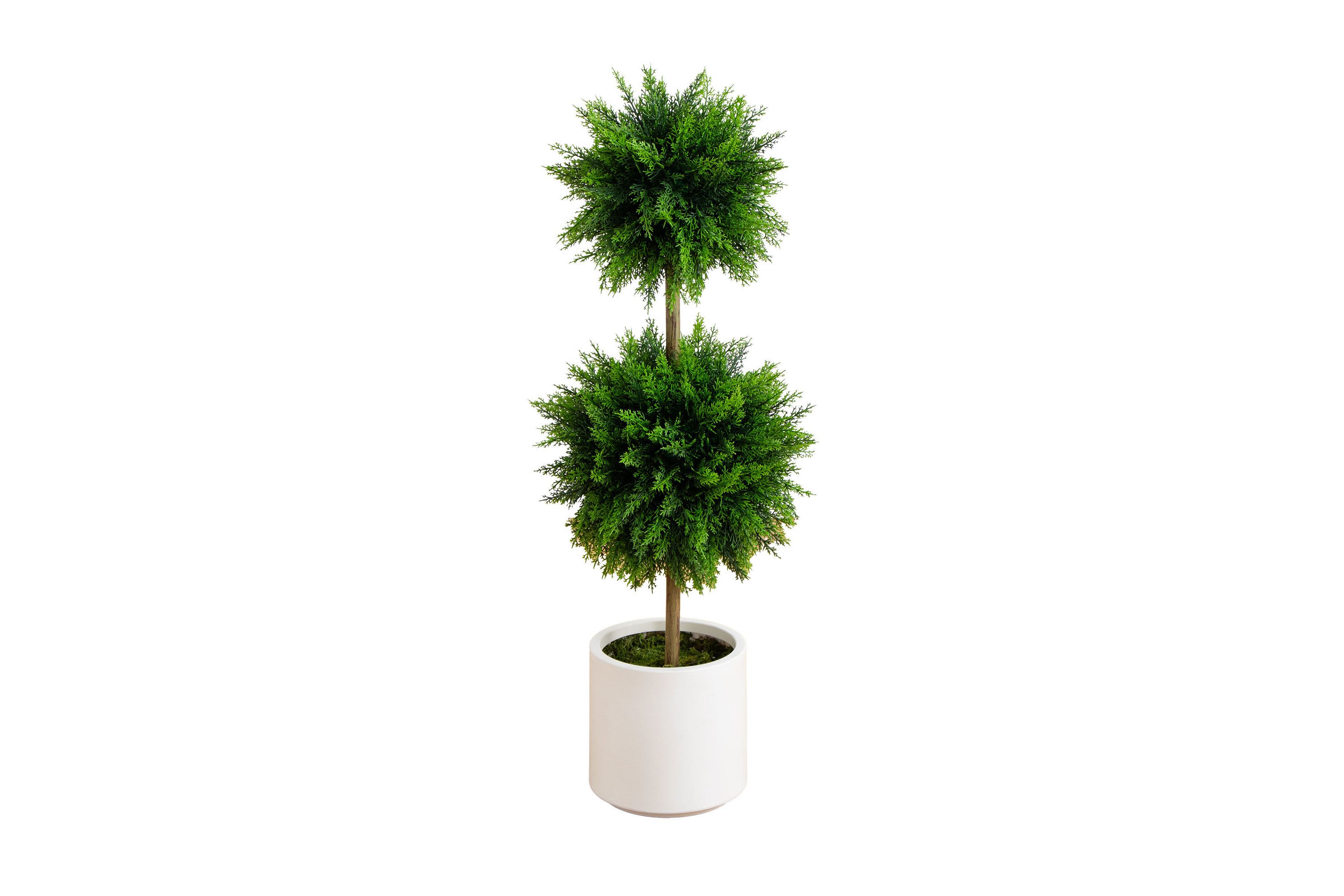 3.5-Foot UV Resistant Artificial Cedar Double Ball Topiary Tree in White Decorative Planter (Indoor/Outdoor)