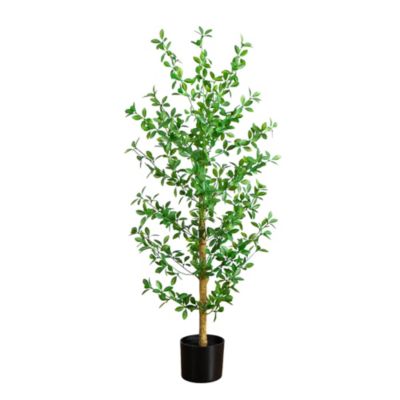 Nearly Natural 4-Foot Artificial Shady Lady Black Olive Tree, Green