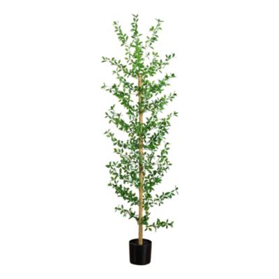 Nearly Natural 7-Foot Artificial Shady Lady Black Olive Tree
