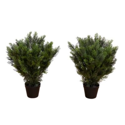 Nearly Natural 2-Foot Artificial Cedar Tree UV Resistant (Indoor/Outdoor) - Set of 2, Green
