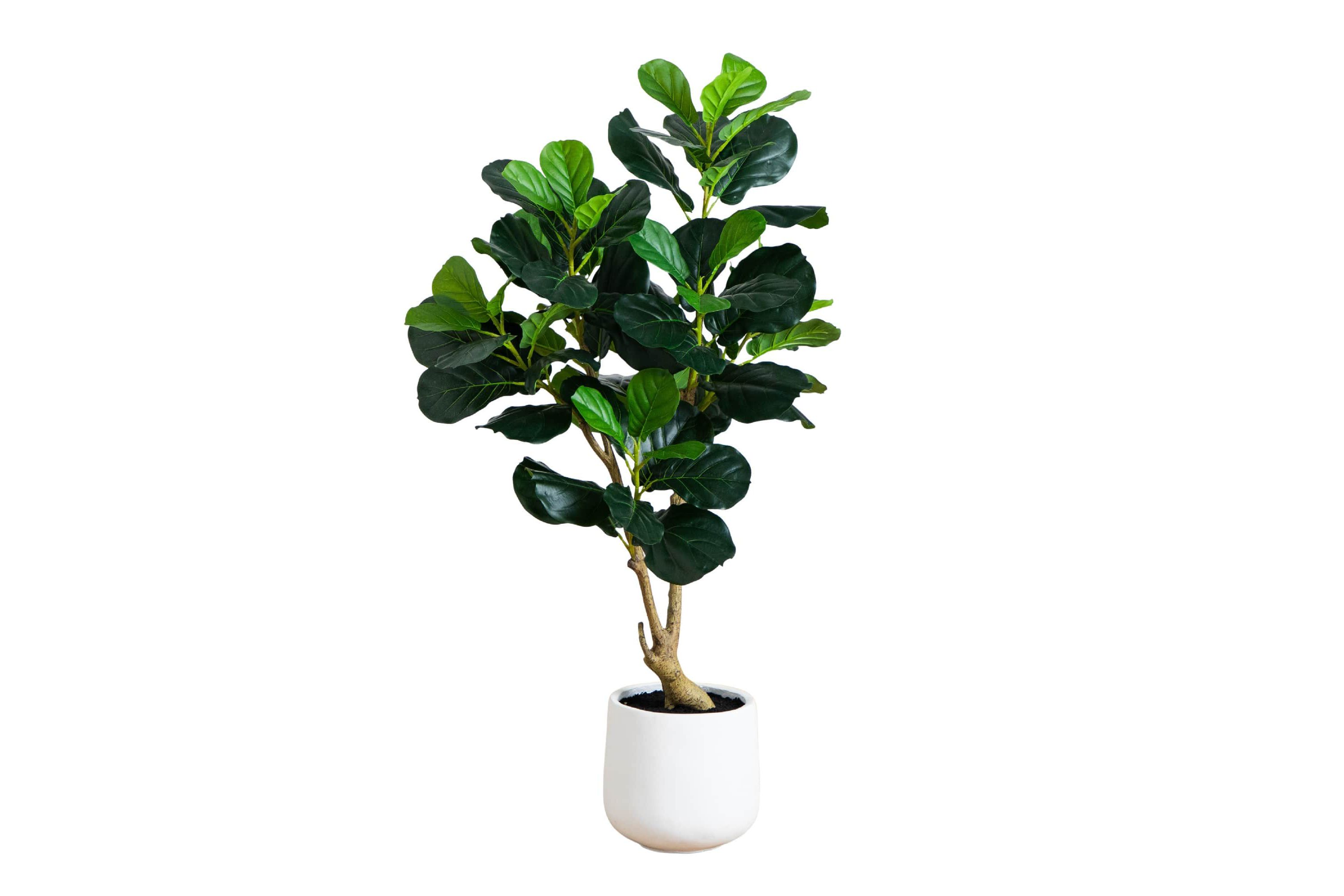 4-Foot Artificial Lush Fiddle Leaf Tree in Decorative White Planter