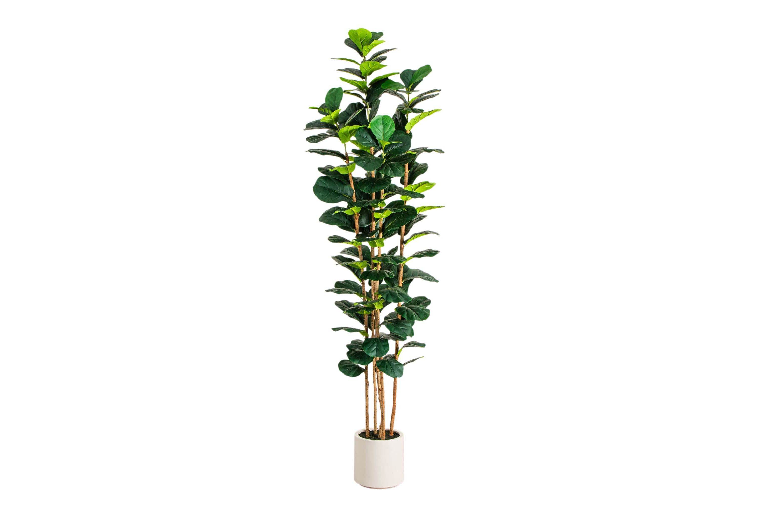 8-Foot Artificial Fiddle Leaf Tree in Decorative White Planter
