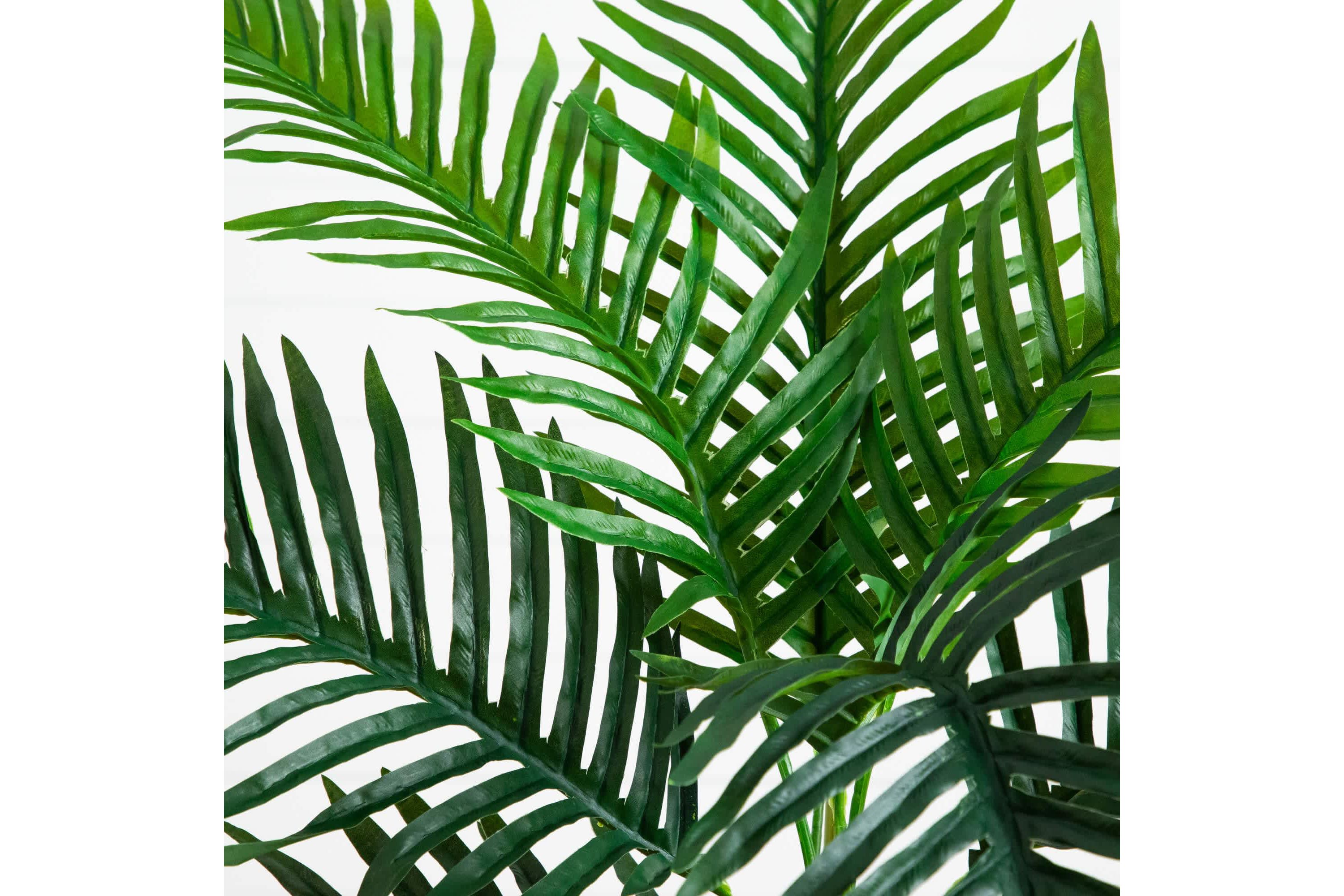 3-Foot UV Resistant Artificial Double Robellini Palm Tree (Indoor/Outdoor)
