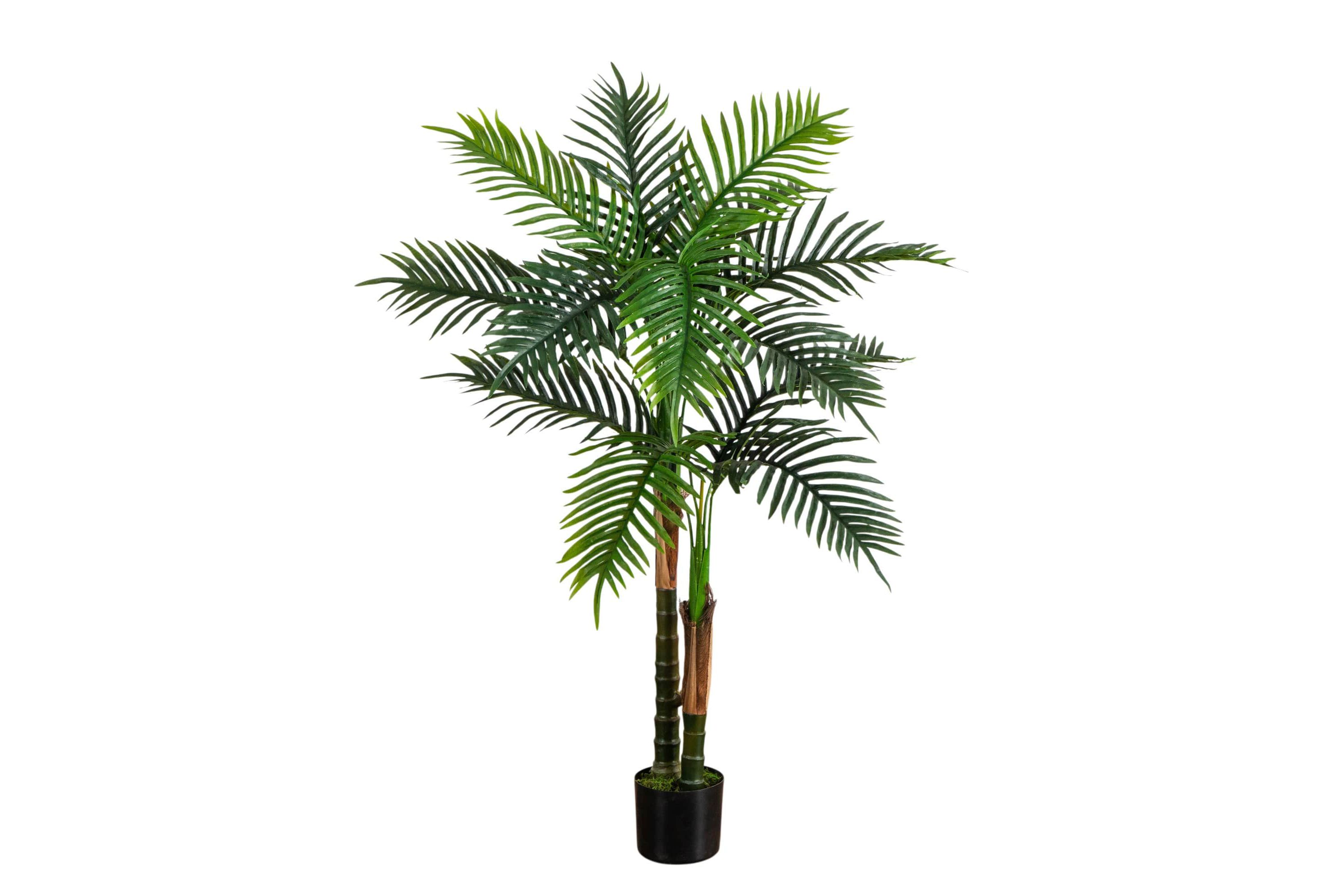 4-Foot UV Resistant Artificial Double Robellini Palm Tree (Indoor/Outdoor)