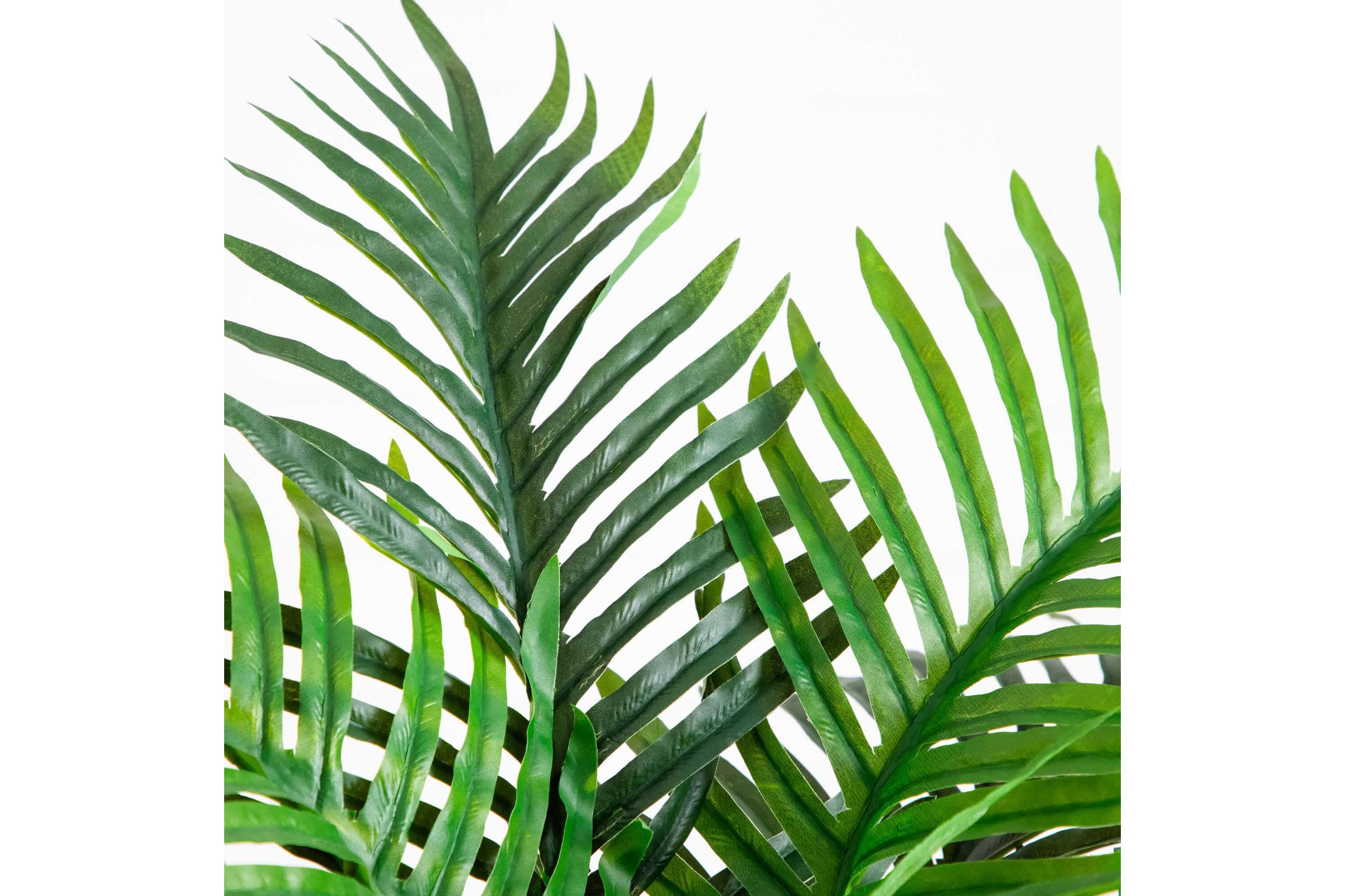 4-Foot UV Resistant Artificial Double Robellini Palm Tree (Indoor/Outdoor)