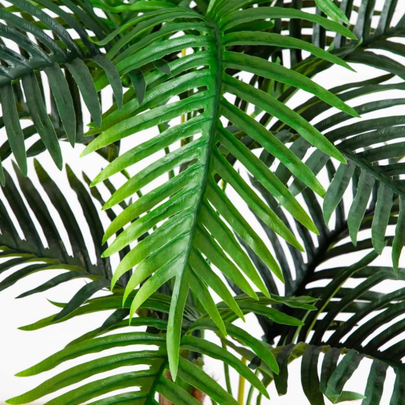 4-Foot UV Resistant Artificial Double Robellini Palm Tree (Indoor/Outdoor)