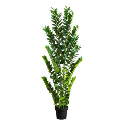 Nearly Natural 5-Foot Artificial Zamioculcas Plant, Green