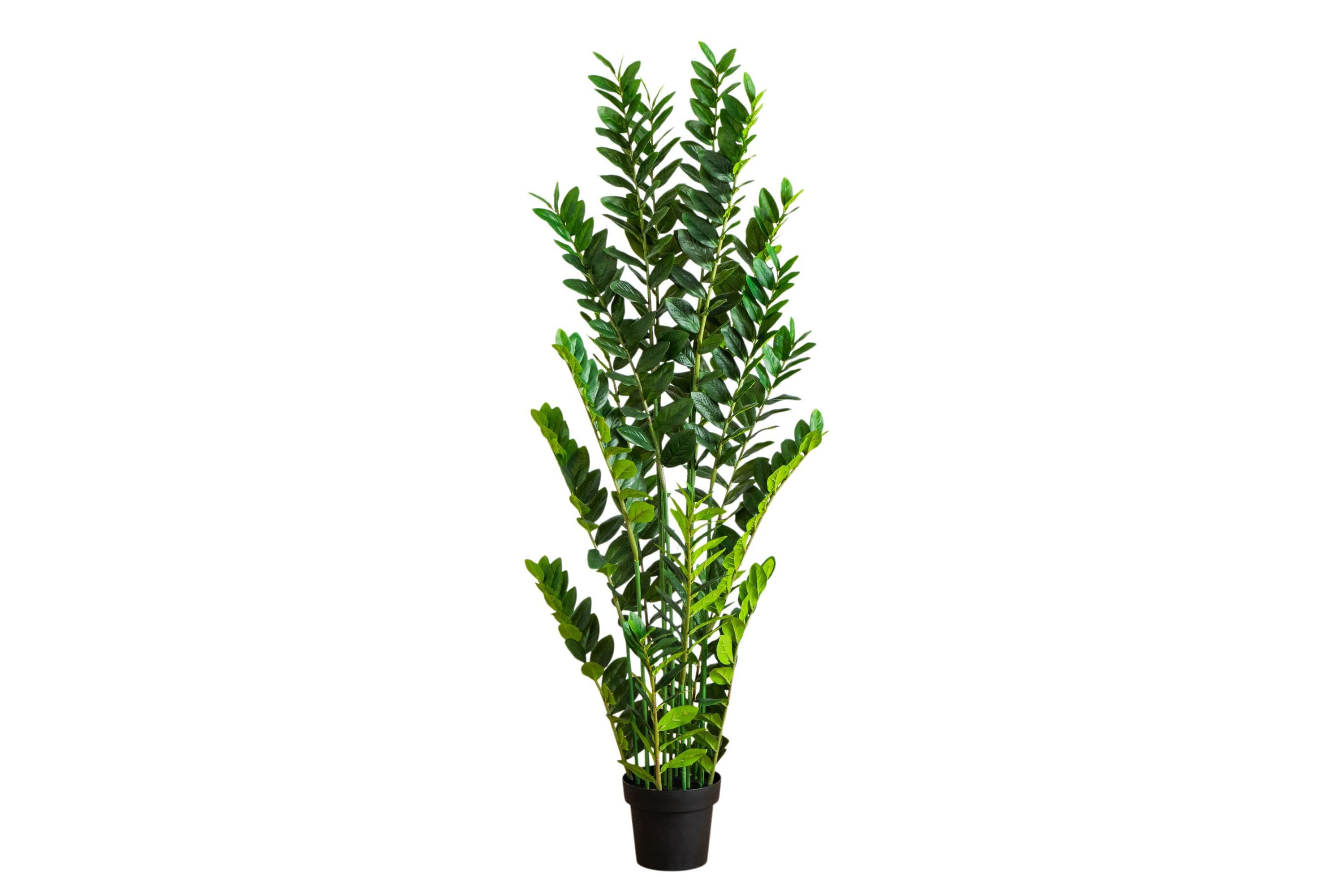 5-Foot Artificial Zamioculcas Plant