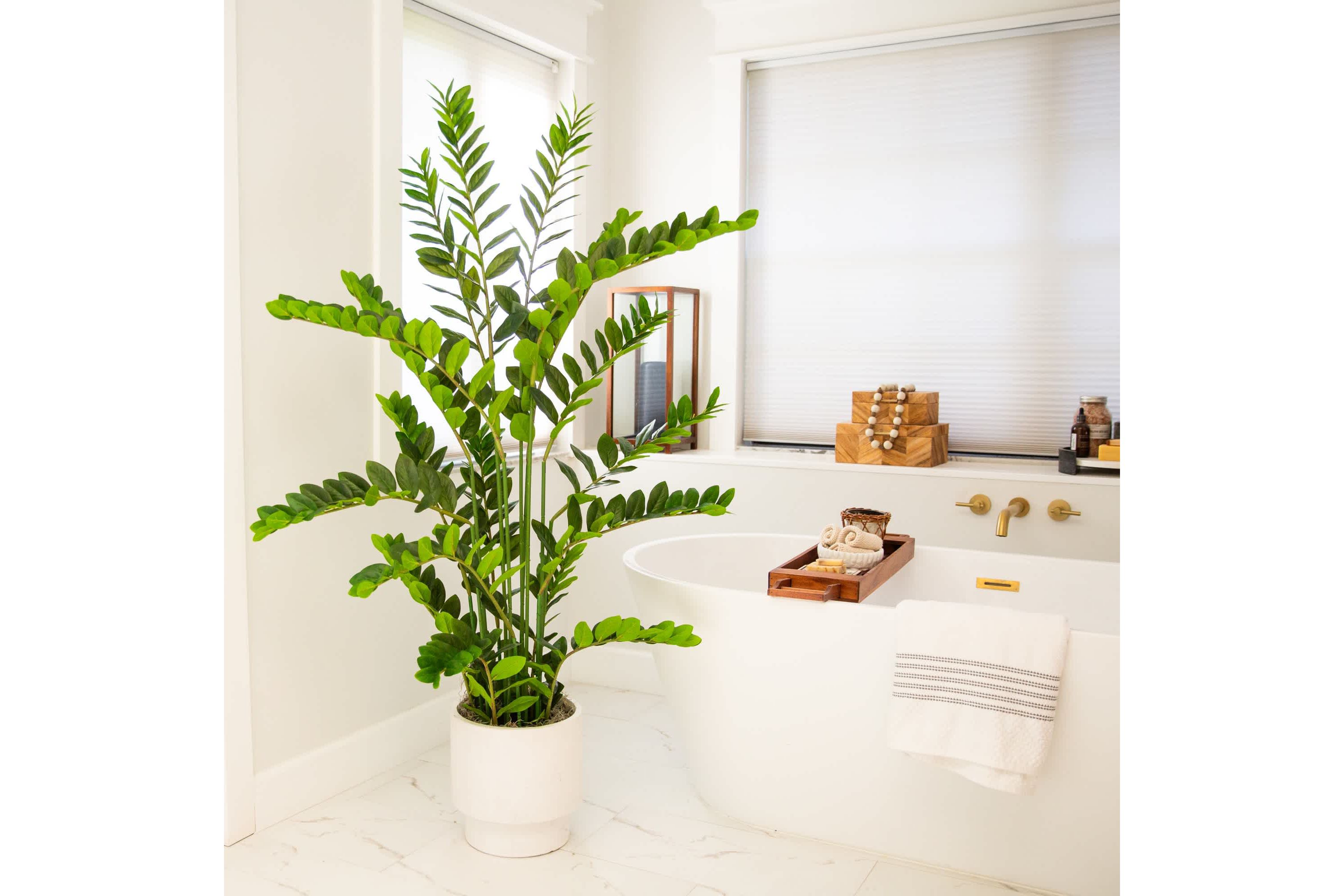 5-Foot Artificial Zamioculcas Plant
