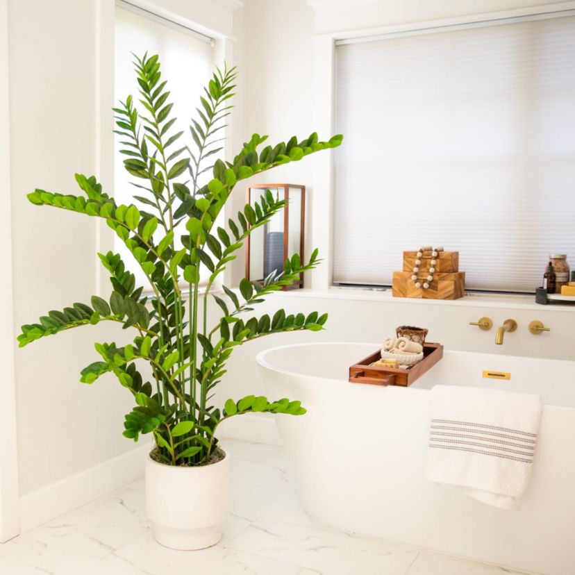 5-Foot Artificial Zamioculcas Plant