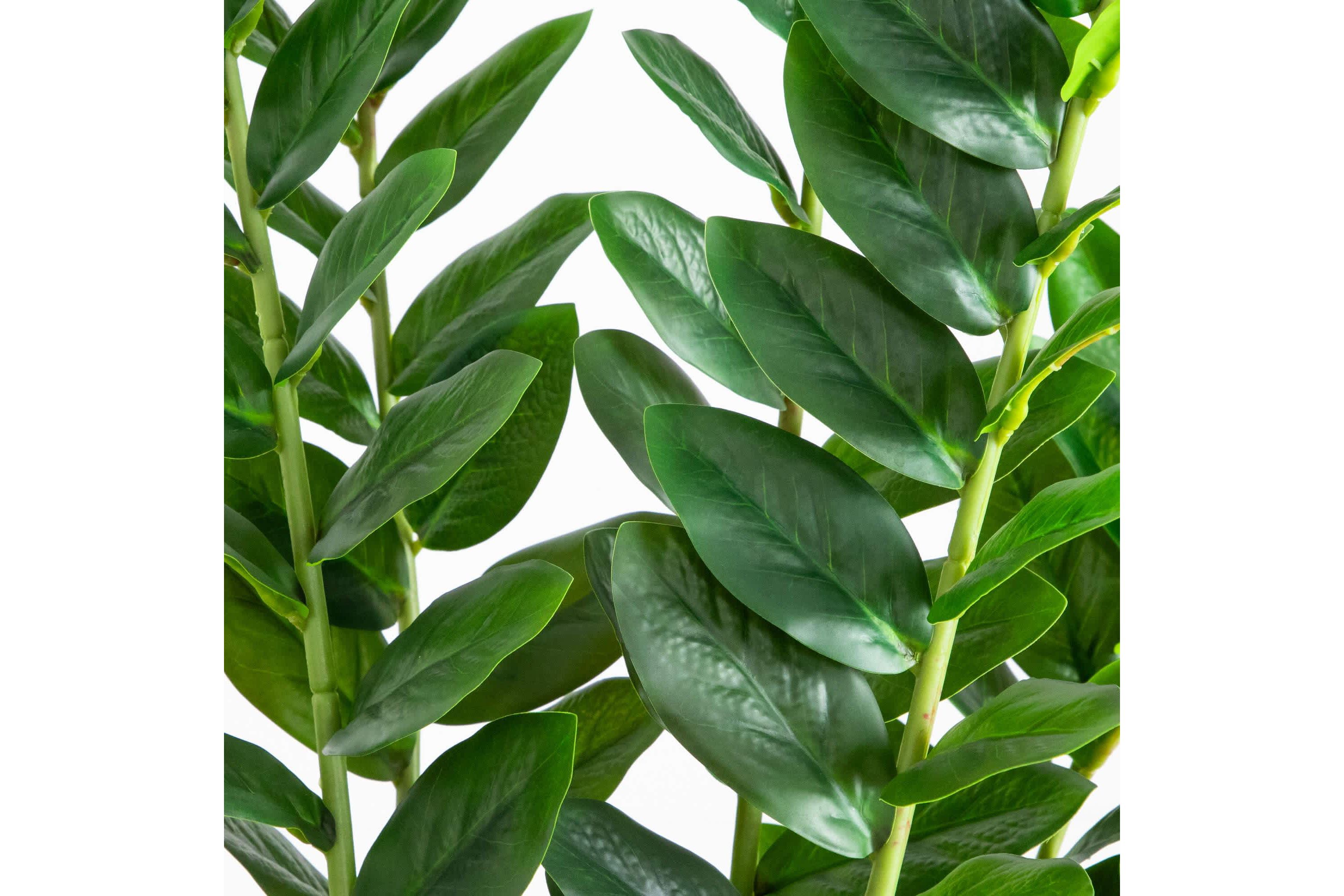 5-Foot Artificial Zamioculcas Plant