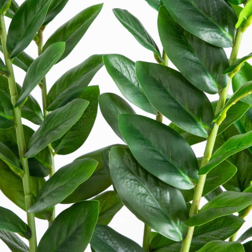 5-Foot Artificial Zamioculcas Plant