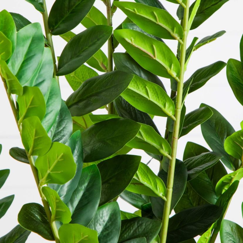 5-Foot Artificial Zamioculcas Plant