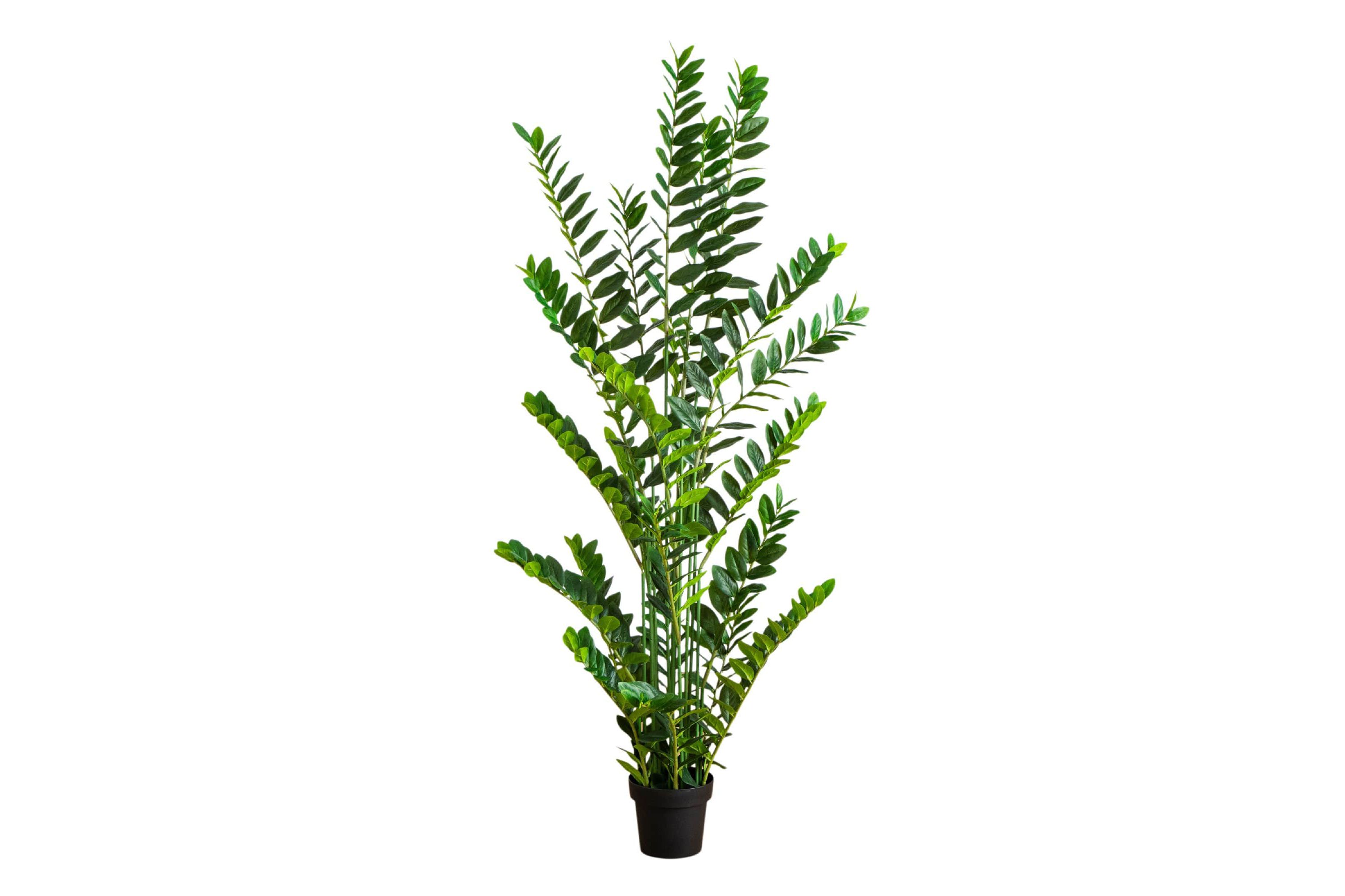 6-Foot Artificial Zamioculcas Plant
