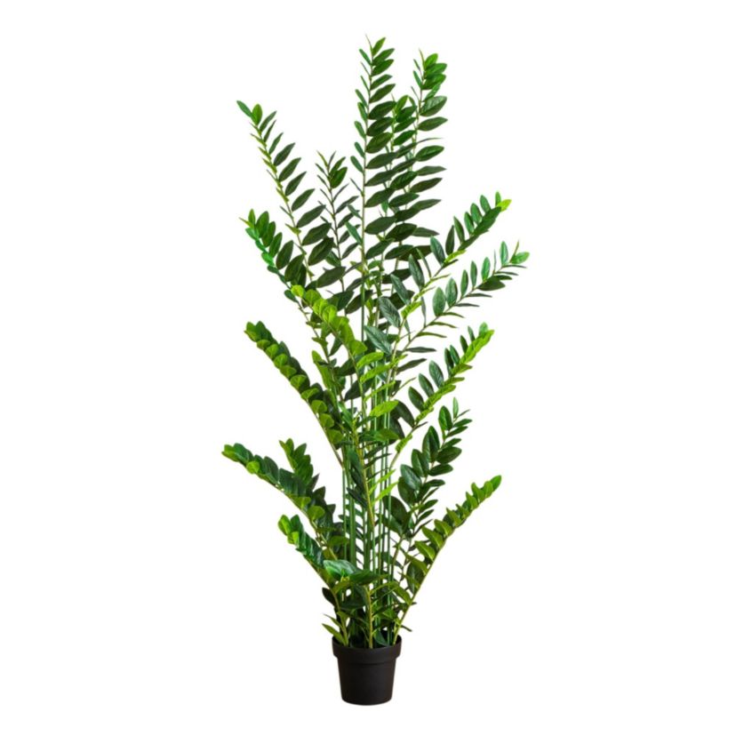 6-Foot Artificial Zamioculcas Plant