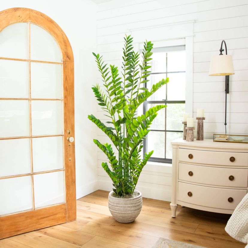 6-Foot Artificial Zamioculcas Plant
