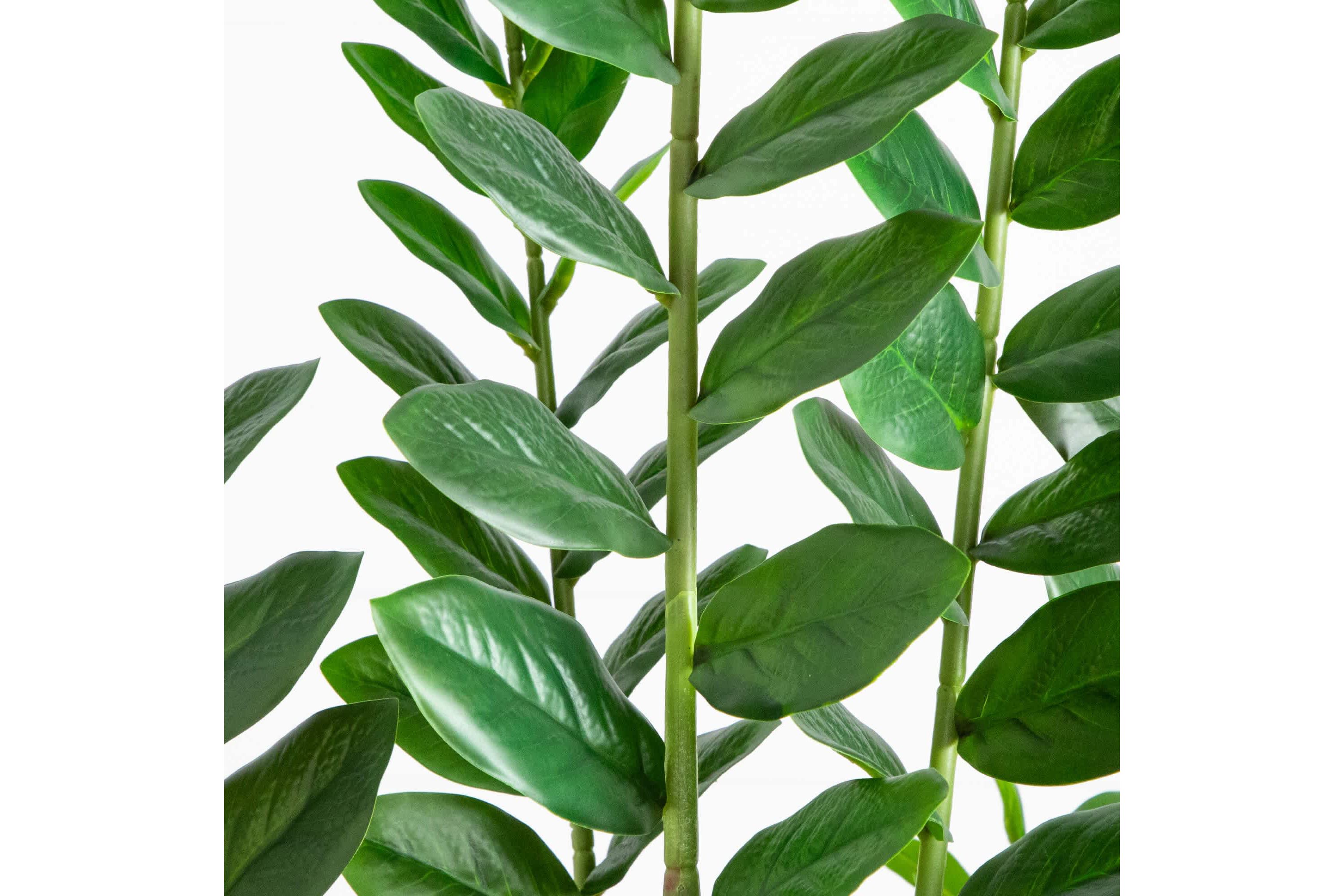 6-Foot Artificial Zamioculcas Plant
