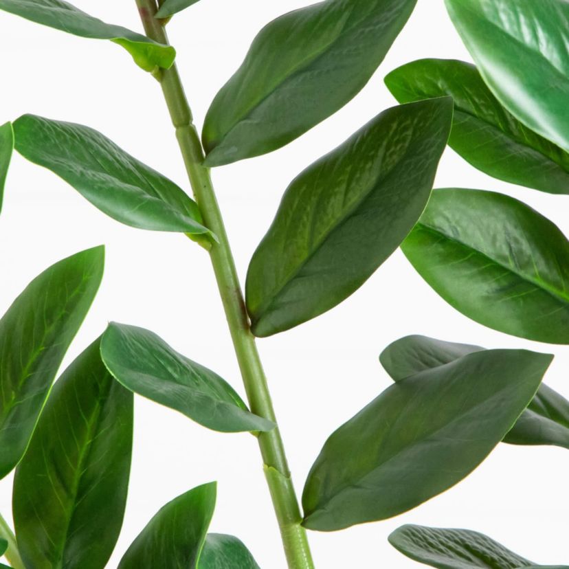 6-Foot Artificial Zamioculcas Plant
