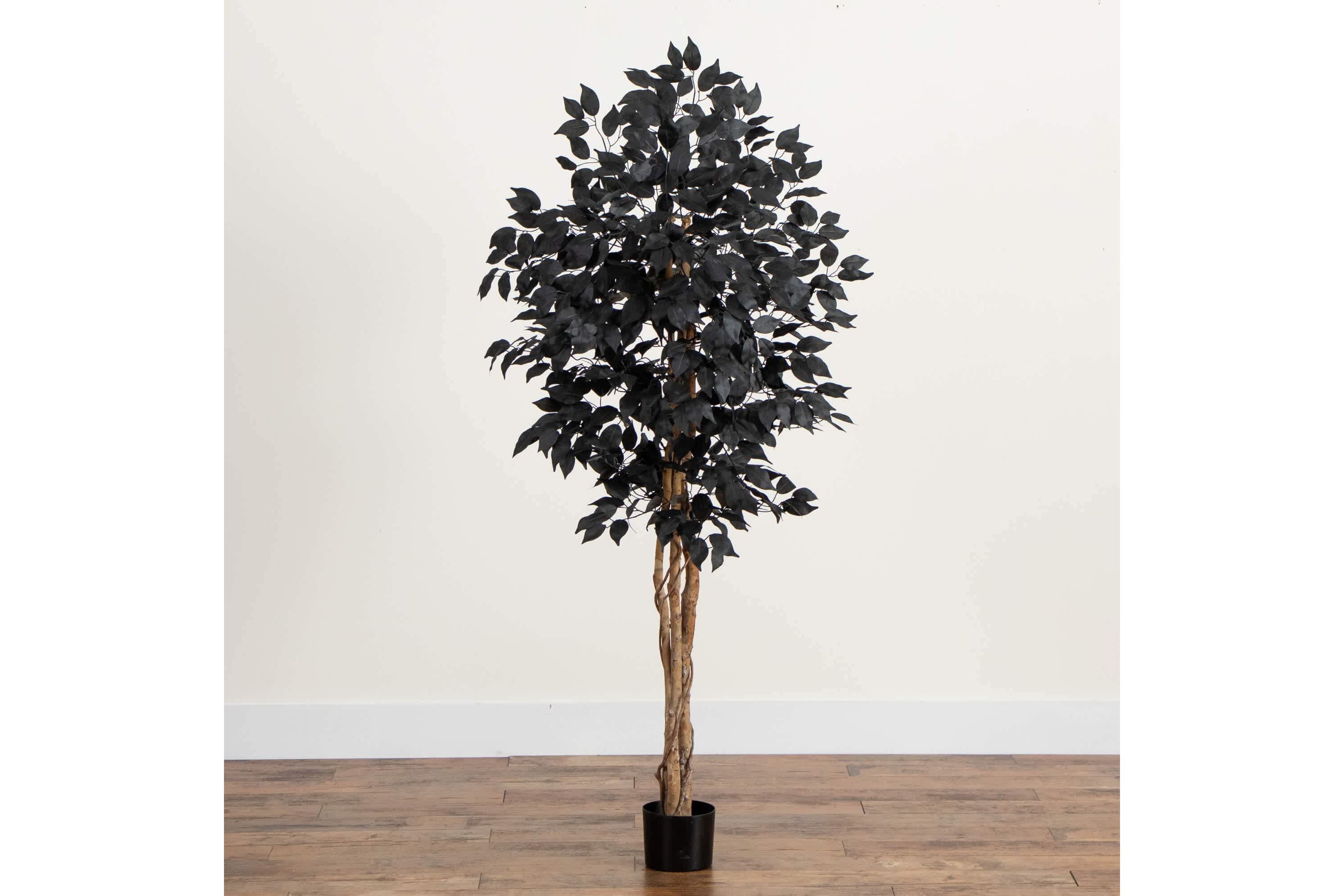5-Foot Artificial Halloween Black Ficus Tree with Natural Trunk