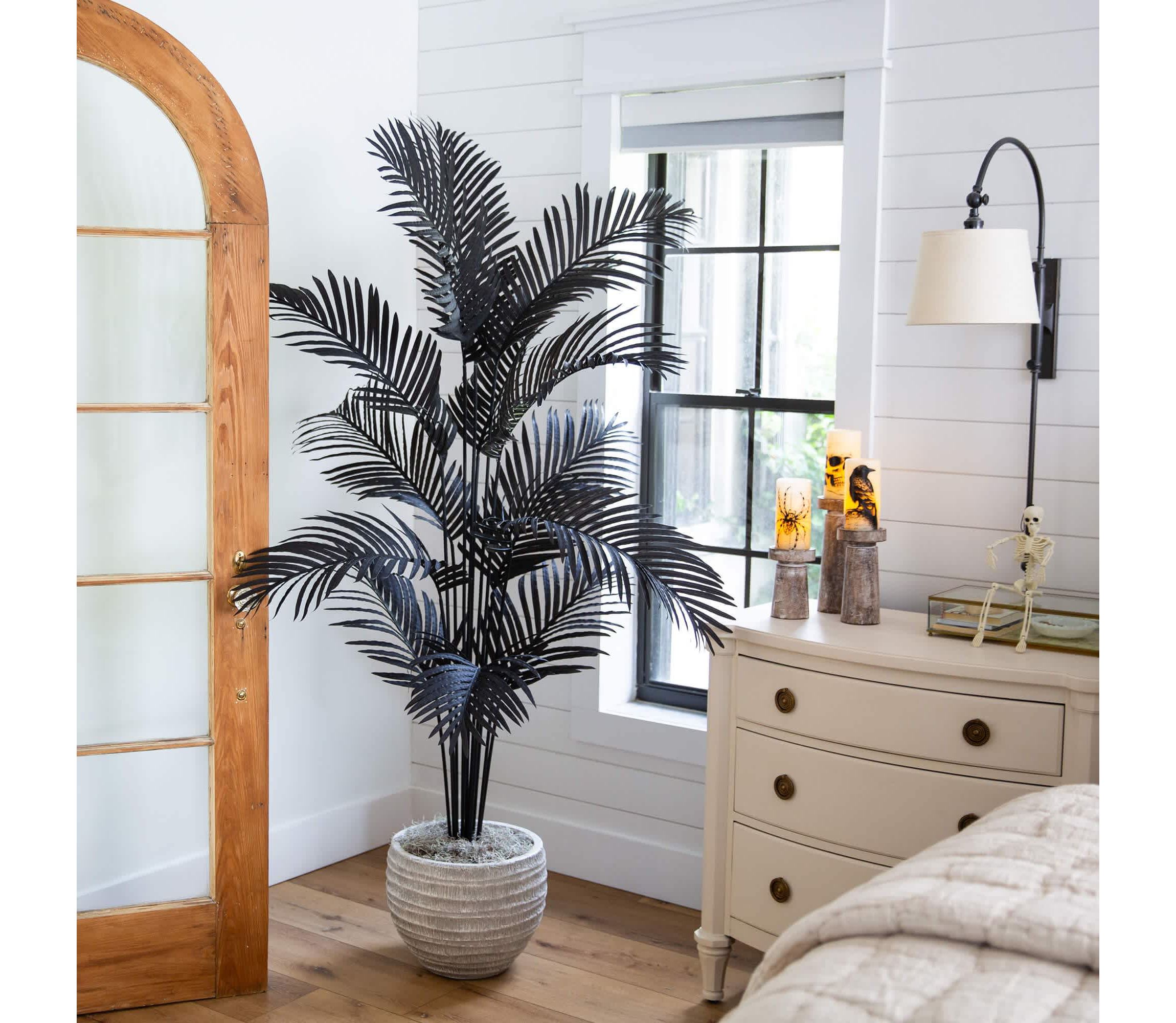 6-Foot Artificial Halloween Black Paradise Palm Tree