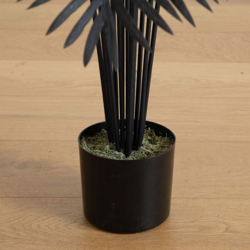 6-Foot Artificial Halloween Black Paradise Palm Tree