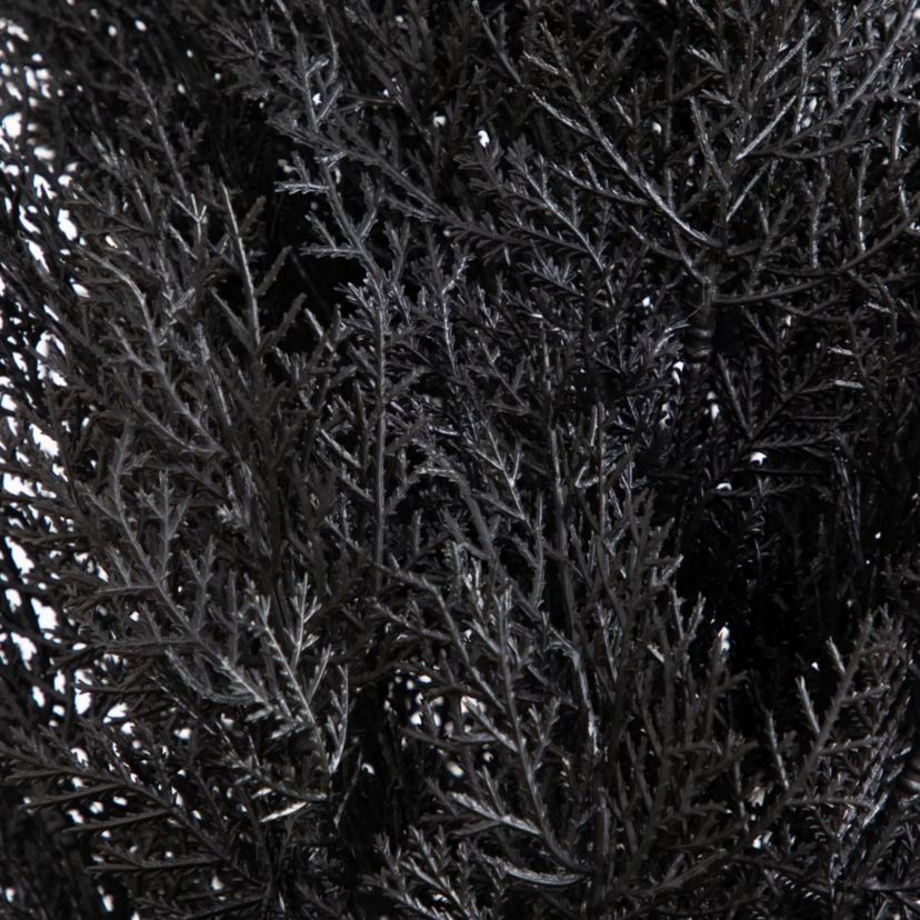 6-Foot UV Resistant Artificial Halloween Black Cedar Tree (Indoor/Outdoor)