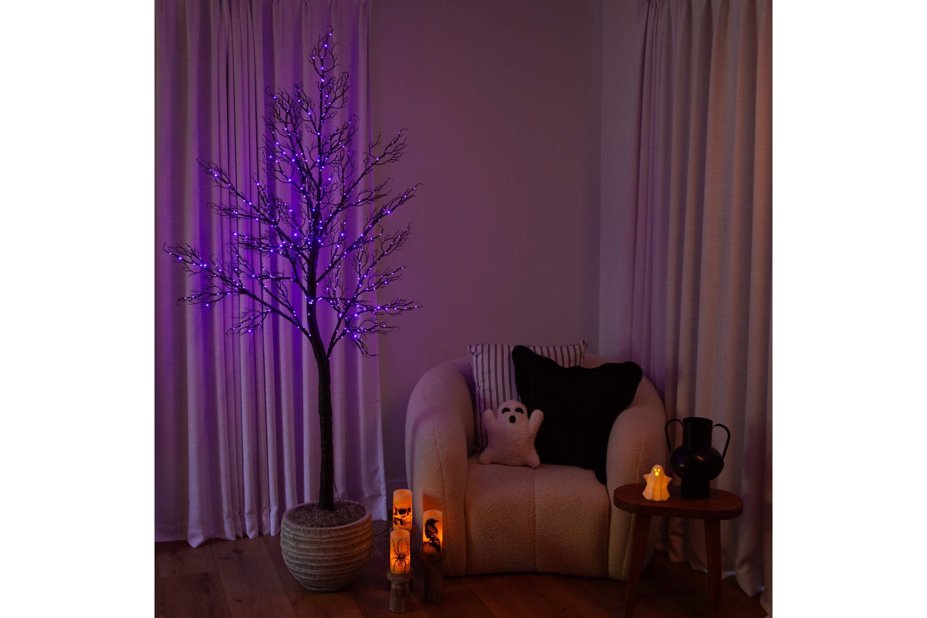 7-Foot Pre-Lit Halloween Minimalist Twig Artificial Fall Tree with 400 Orange & Purple LED Lights