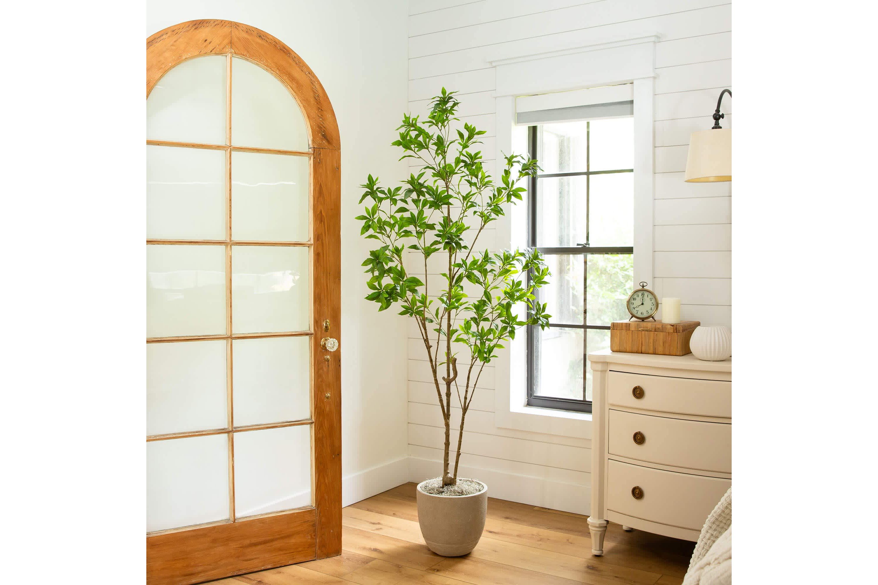 6-Foot Artificial Minimalist Japanese Pieris Tree