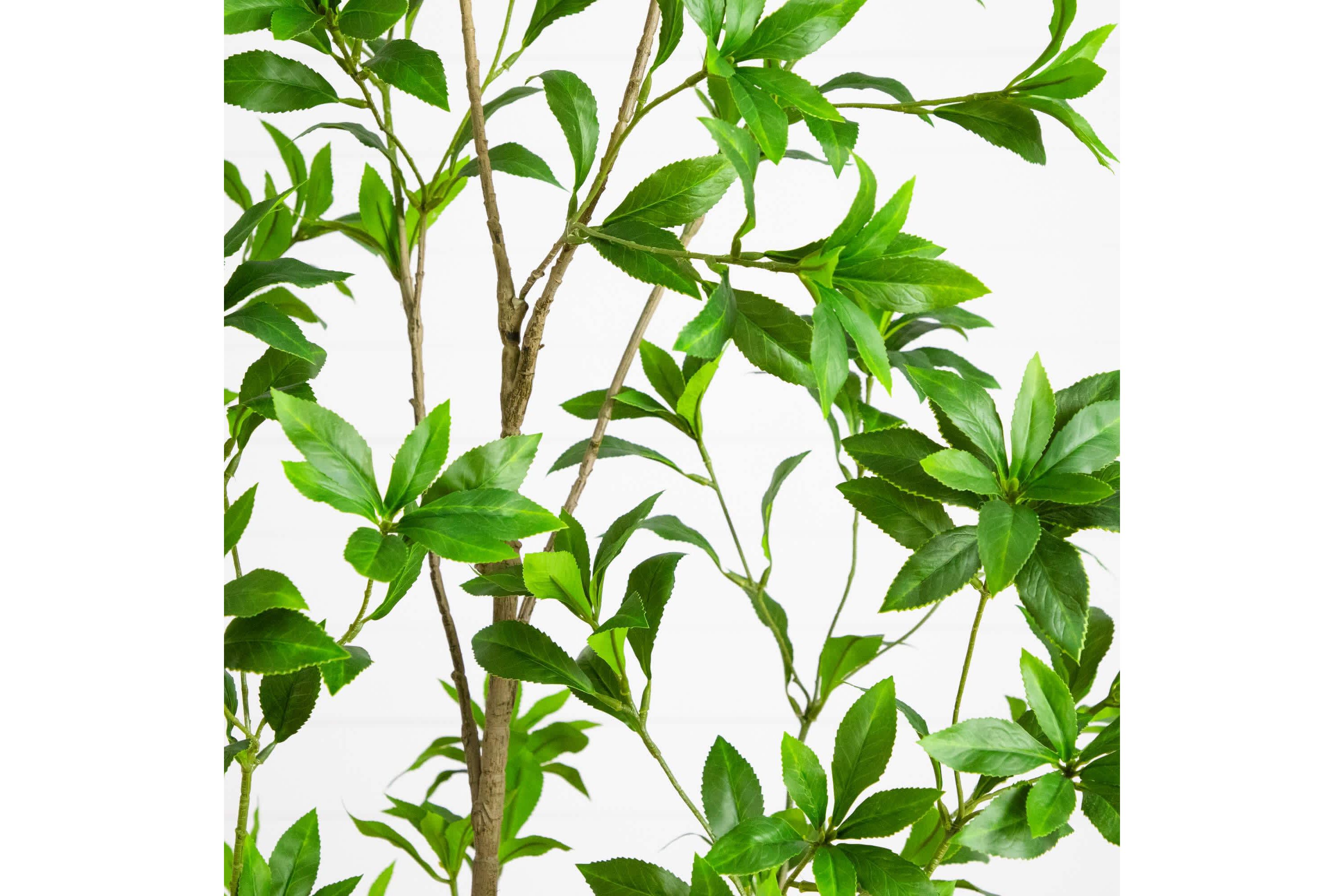 6-Foot Artificial Minimalist Japanese Pieris Tree