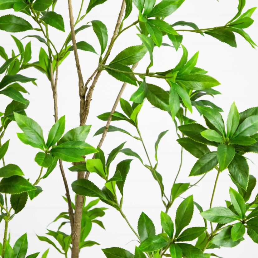 6-Foot Artificial Minimalist Japanese Pieris Tree