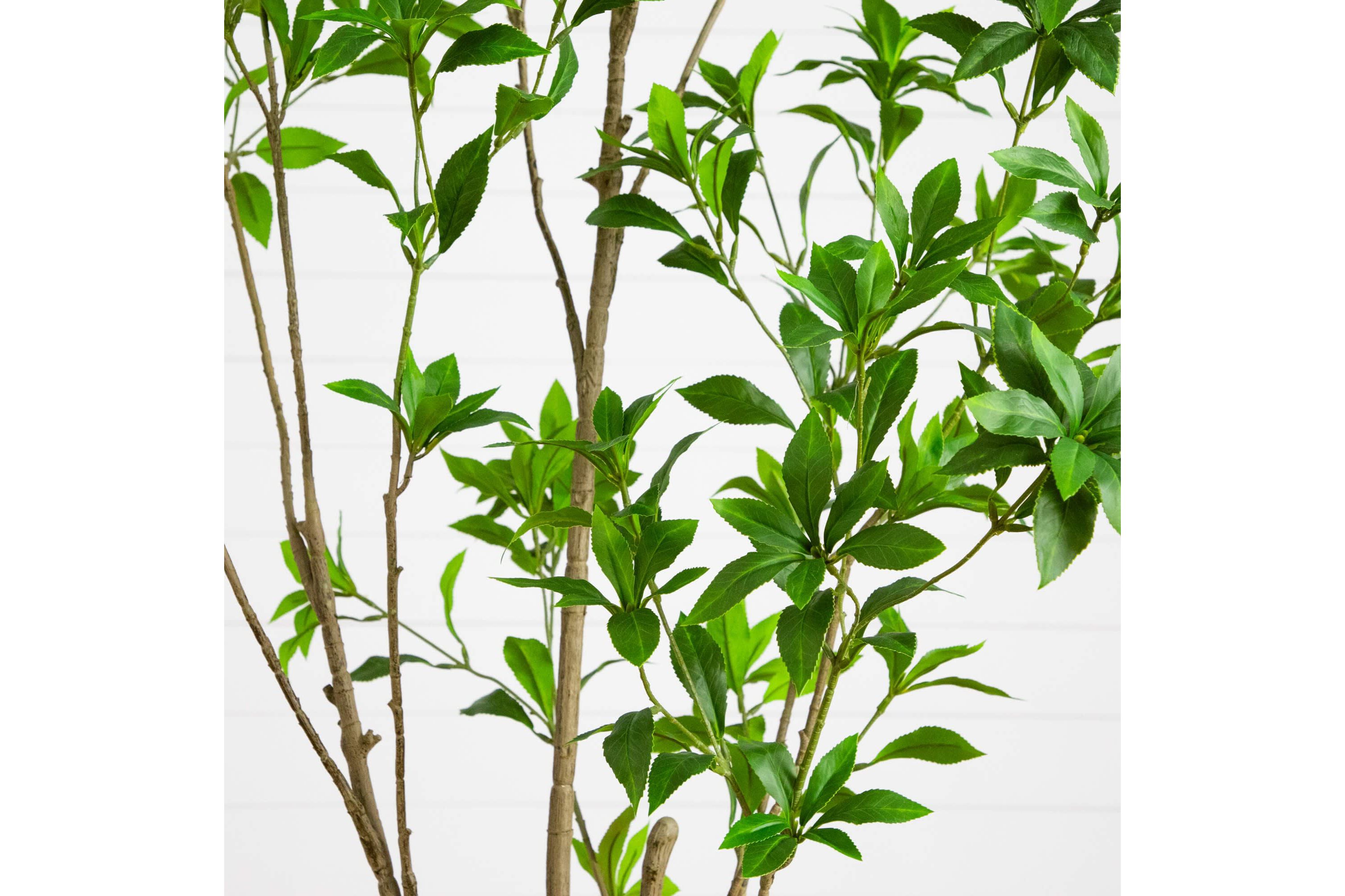 6-Foot Artificial Minimalist Japanese Pieris Tree