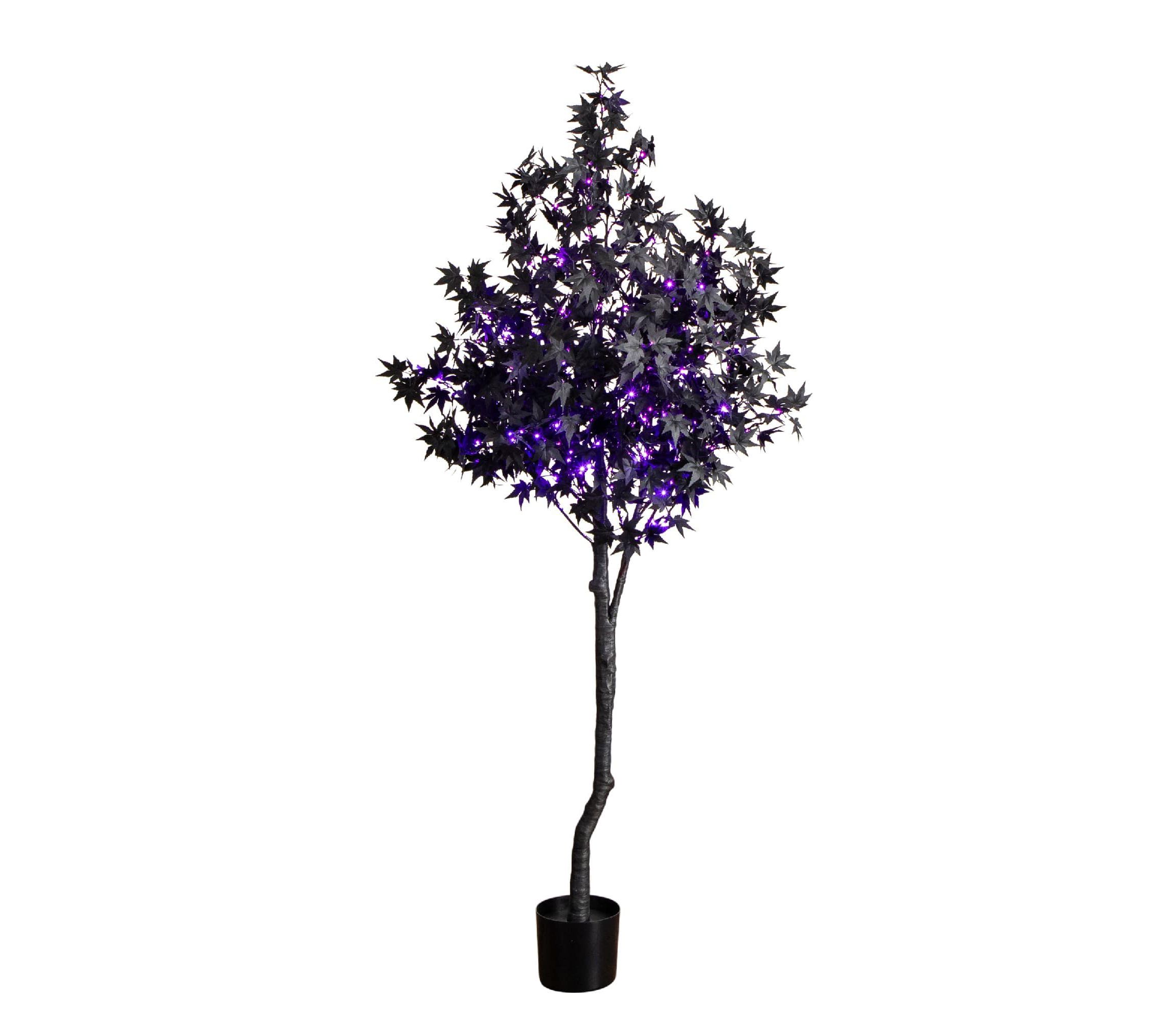 6-Foot Pre-Lit Artificial Halloween Black Maple Tree with 300 Orange & Purple LED Lights