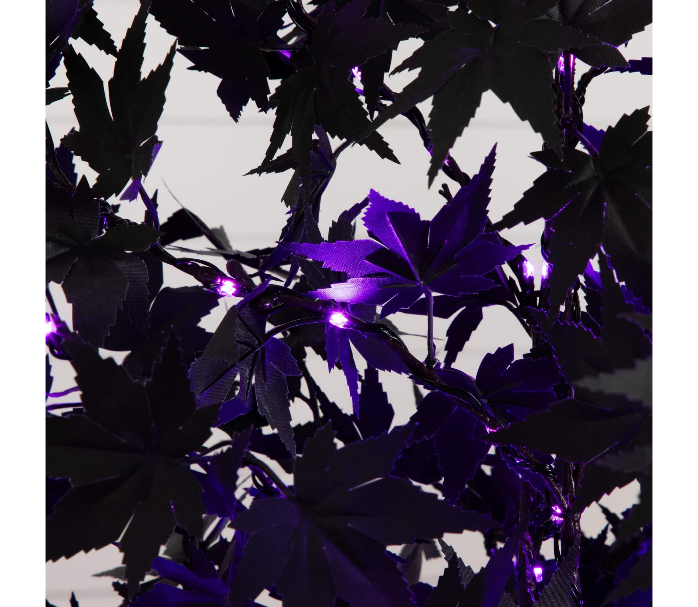 6-Foot Pre-Lit Artificial Halloween Black Maple Tree with 300 Orange & Purple LED Lights