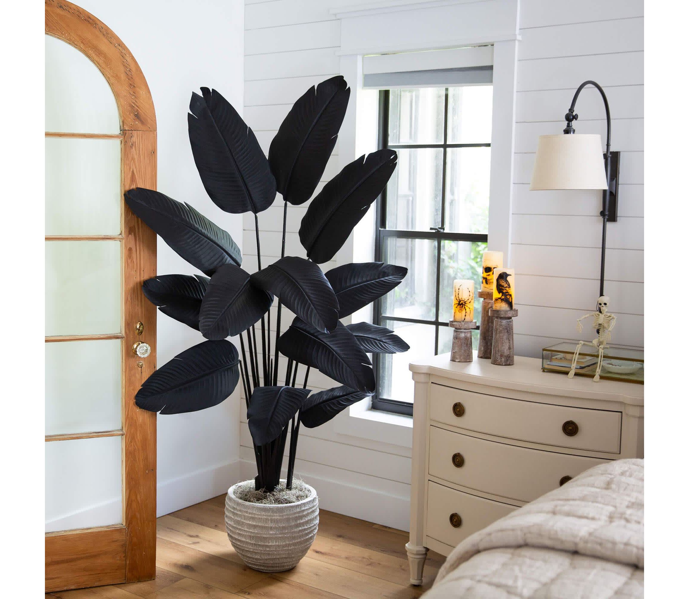 6-Foot Artificial Halloween Black Travelers Palm Tree